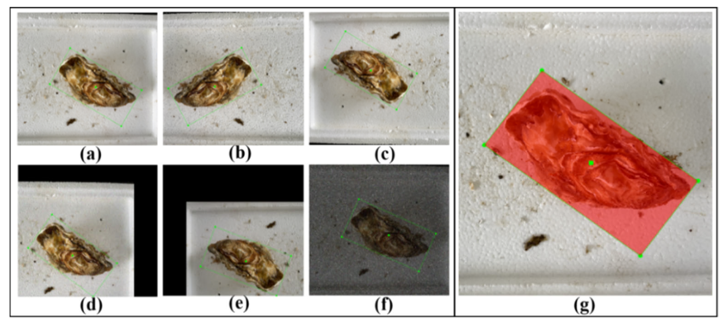 Applsci 15 03971 g004