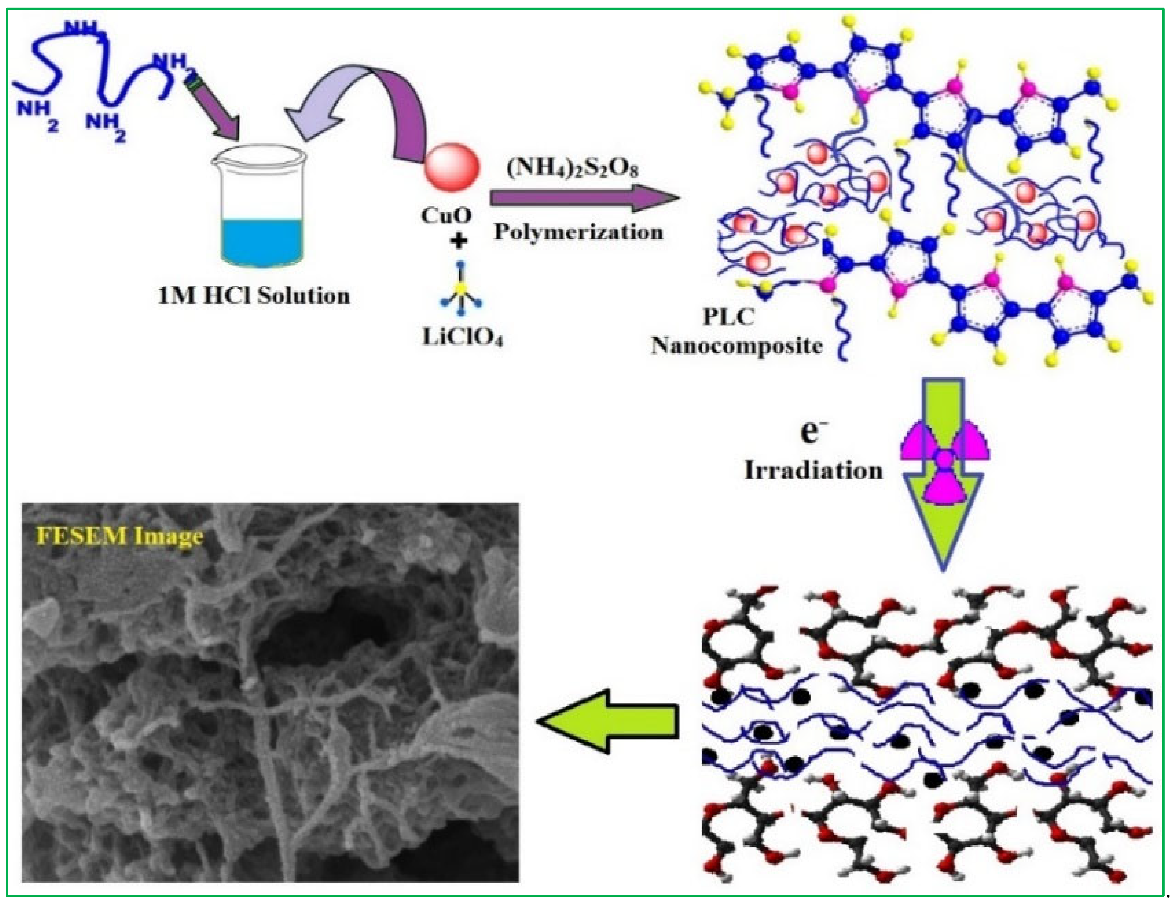 Applsci 15 04001 sch001