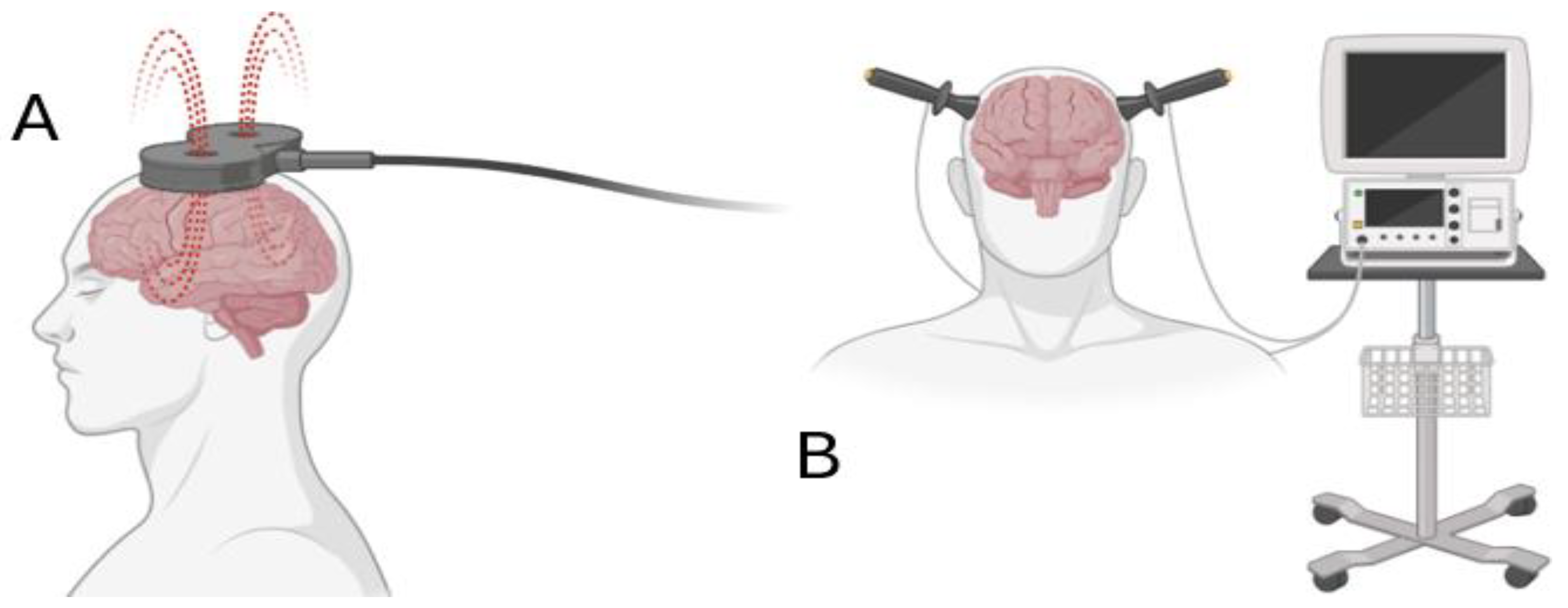 Applsci 15 04020 g002