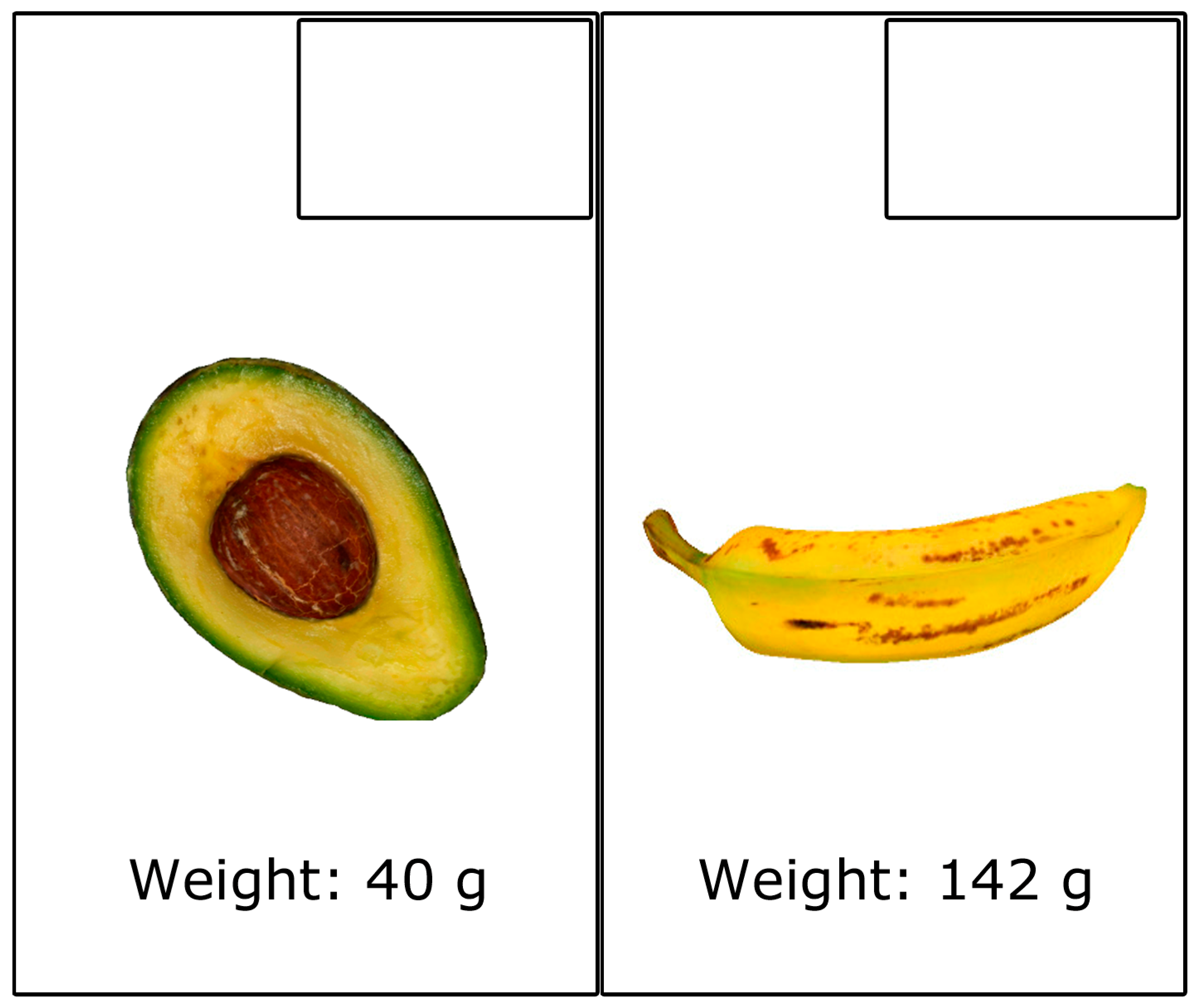 Applsci 15 04021 g007