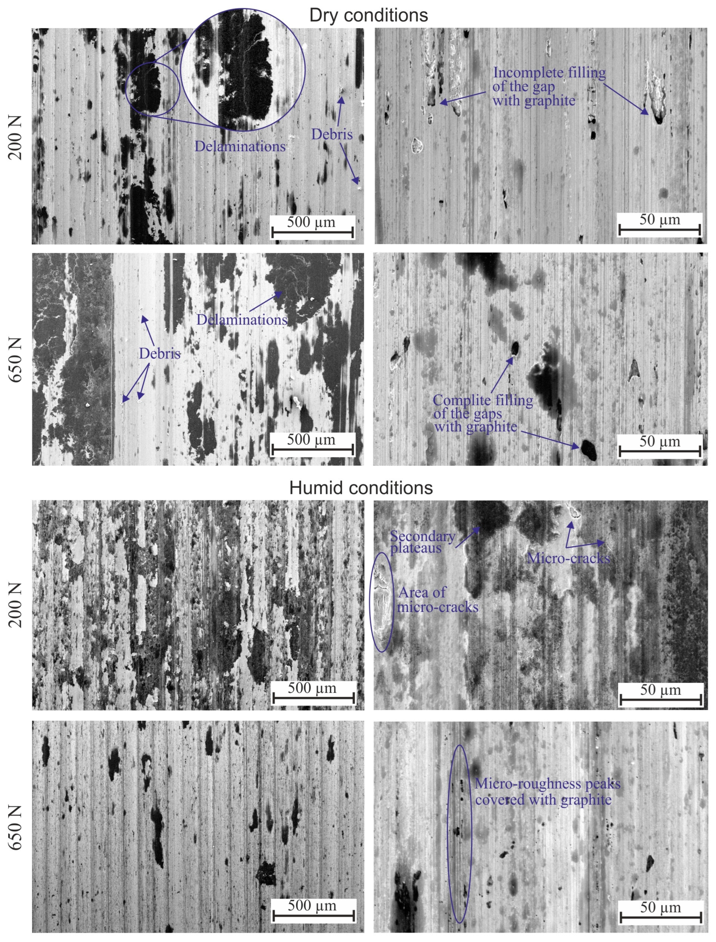 Applsci 15 04022 g010