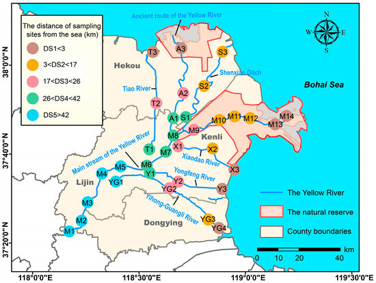 Plant Diversity Characteristics and Environmental