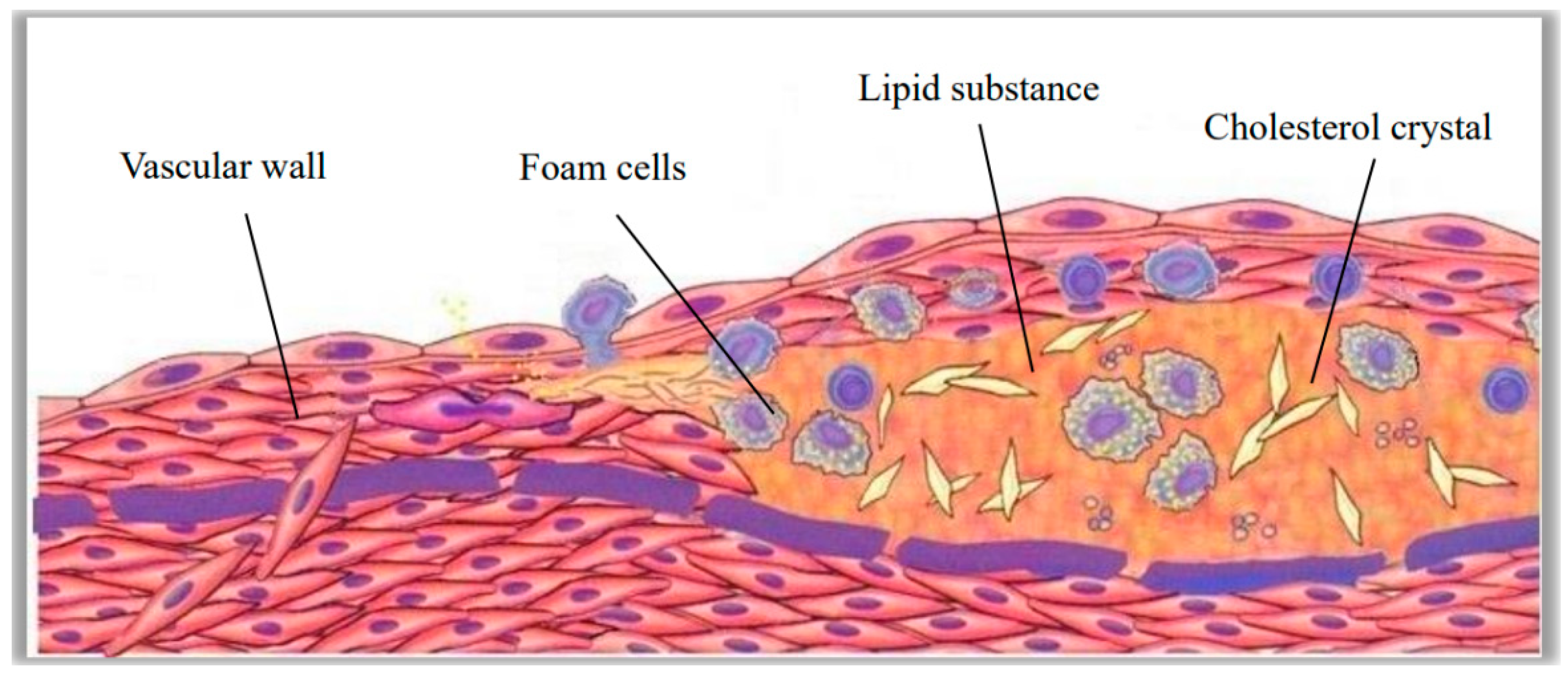 Applsci 15 04055 g013