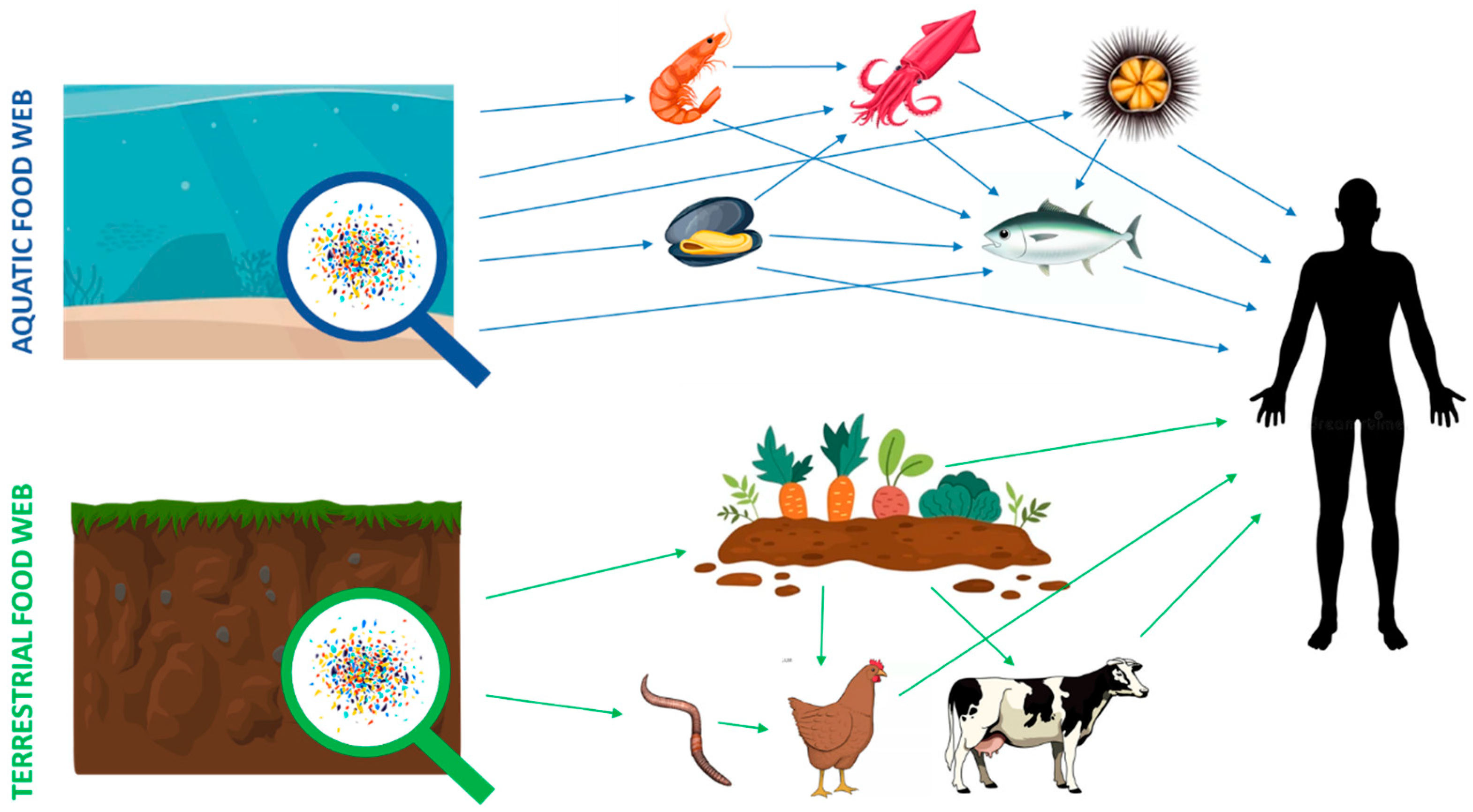 Applsci 15 04057 g004