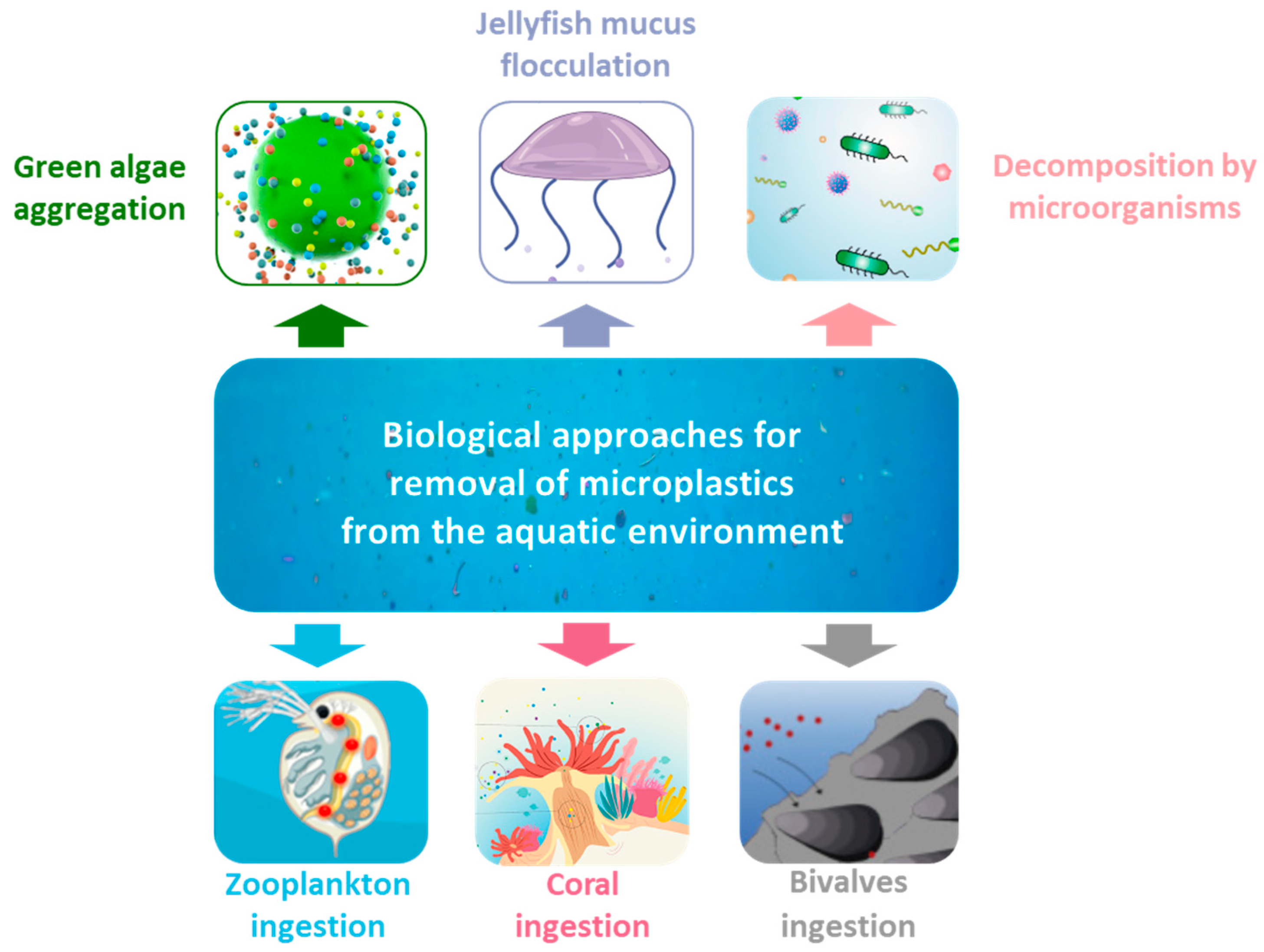 Applsci 15 04057 g010