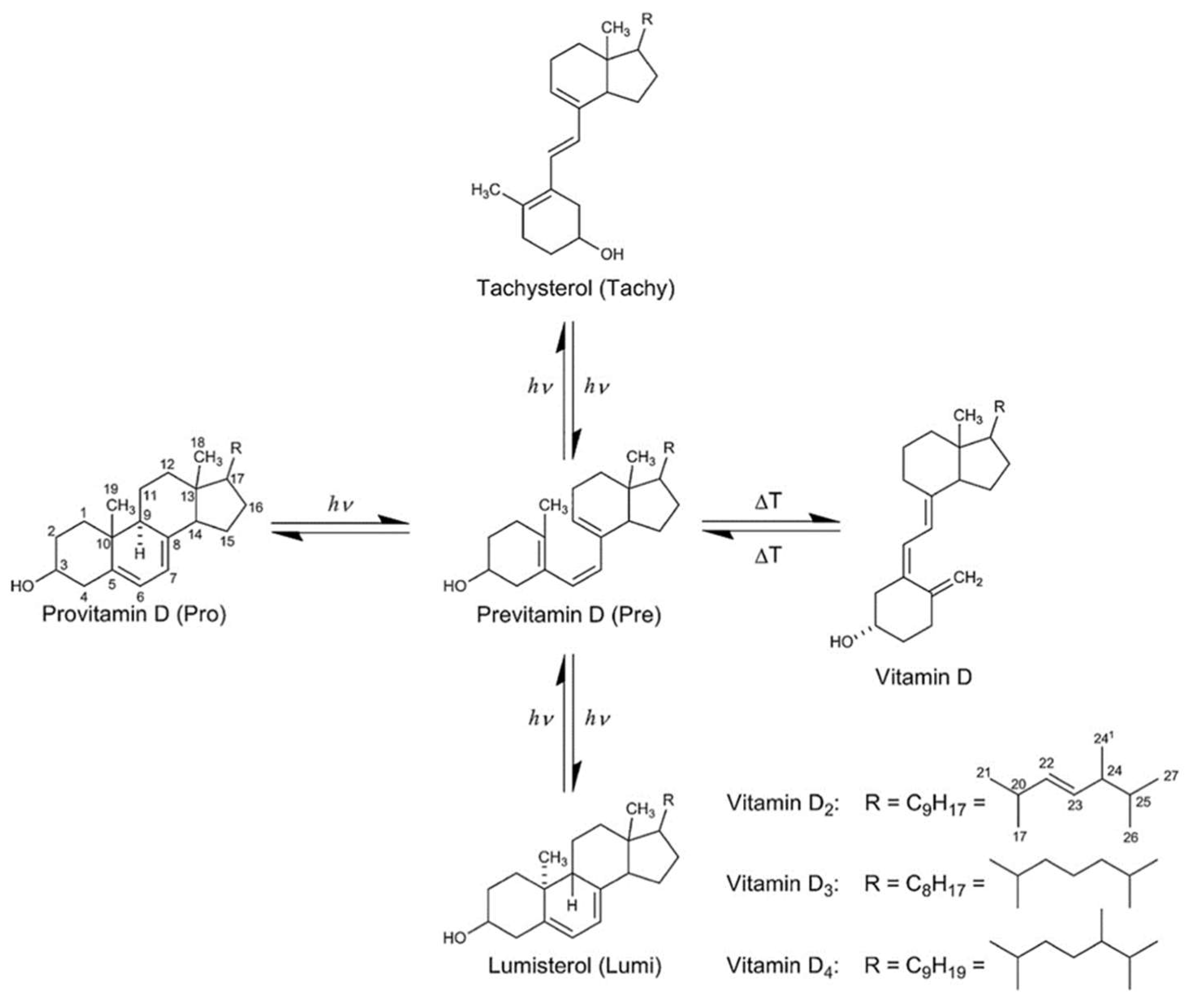 Applsci 15 04058 g001
