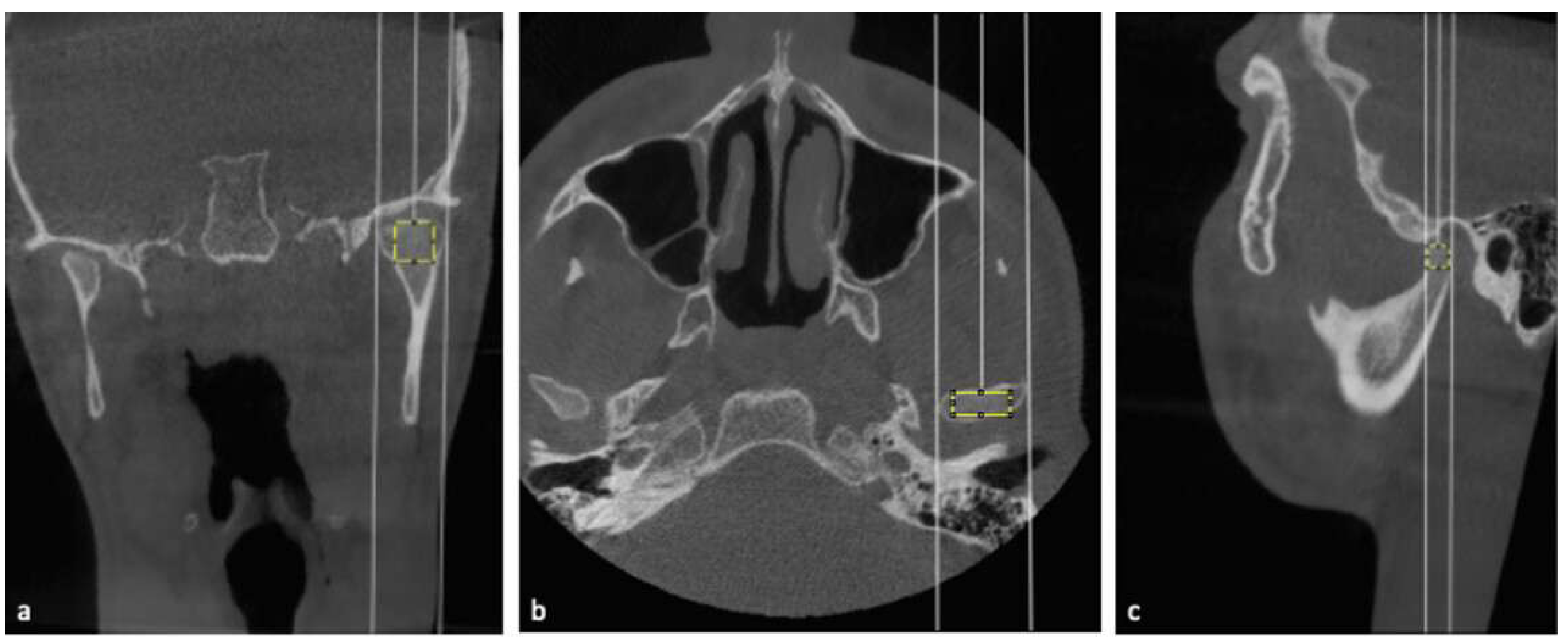 Applsci 15 04063 g001