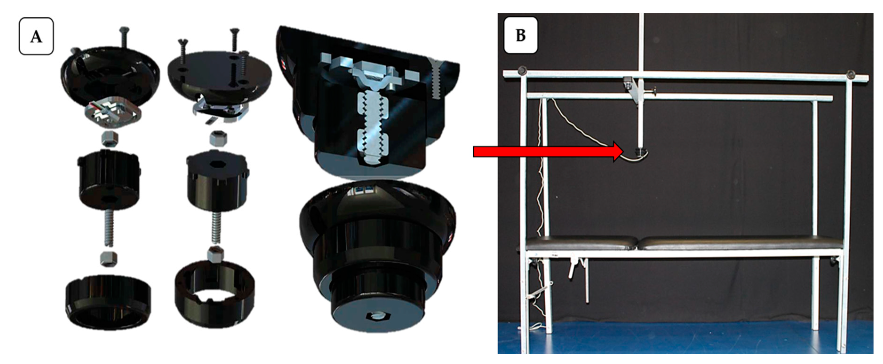 Applsci 15 04081 g001 Applsci 15 04081 g001