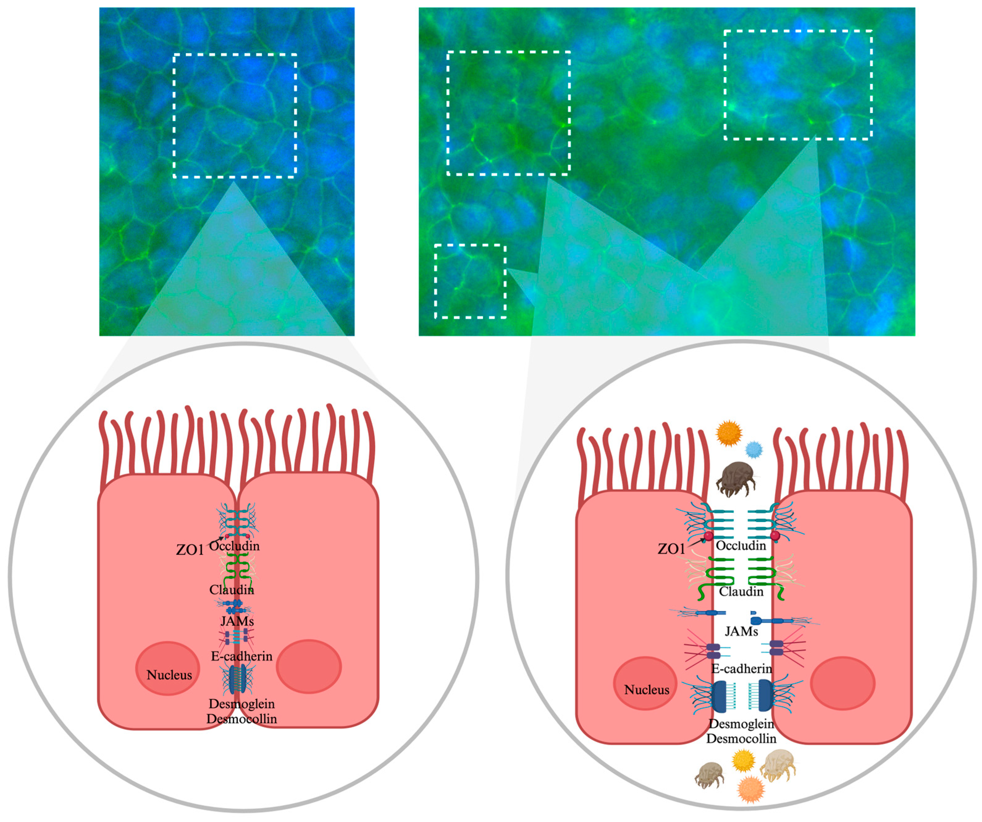 Applsci 15 04113 g006