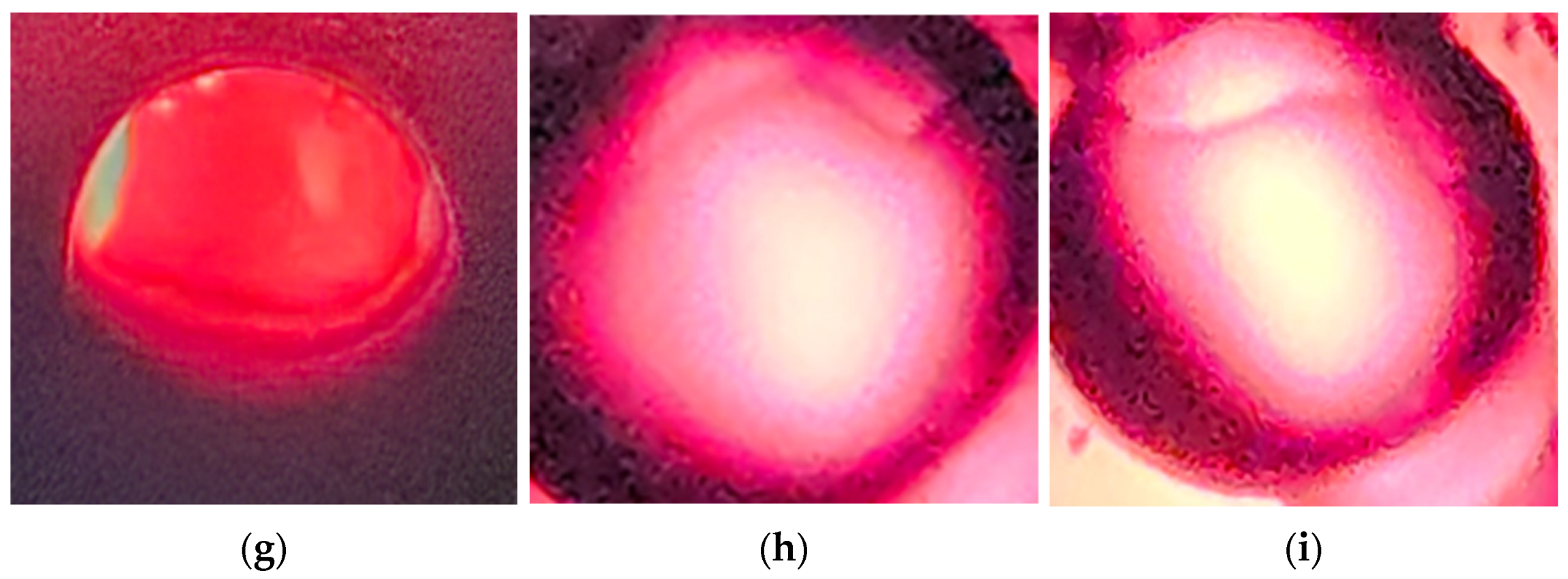 Applsci 15 04115 g009b