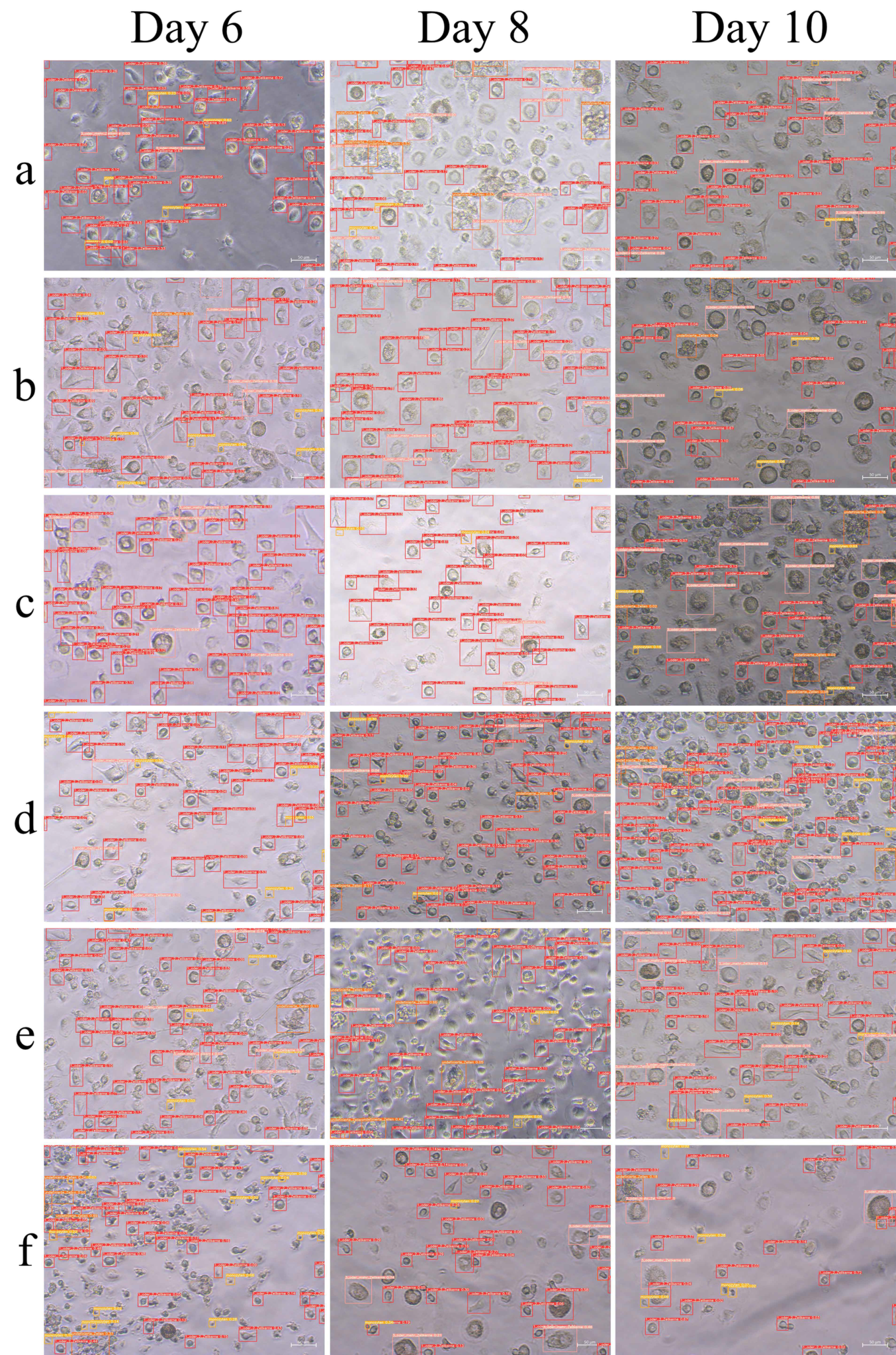 Applsci 15 04159 g005