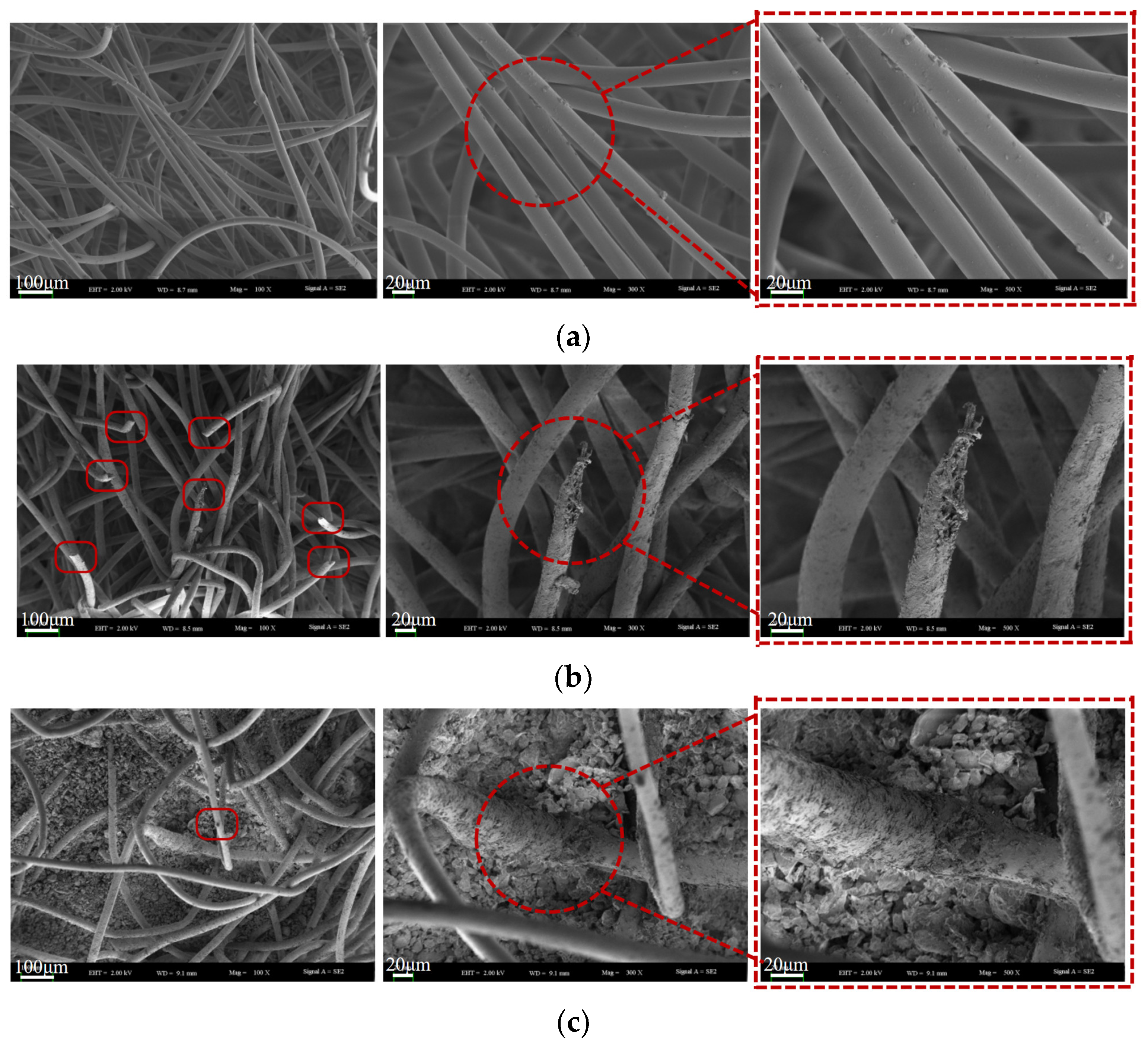 Applsci 15 04167 g006