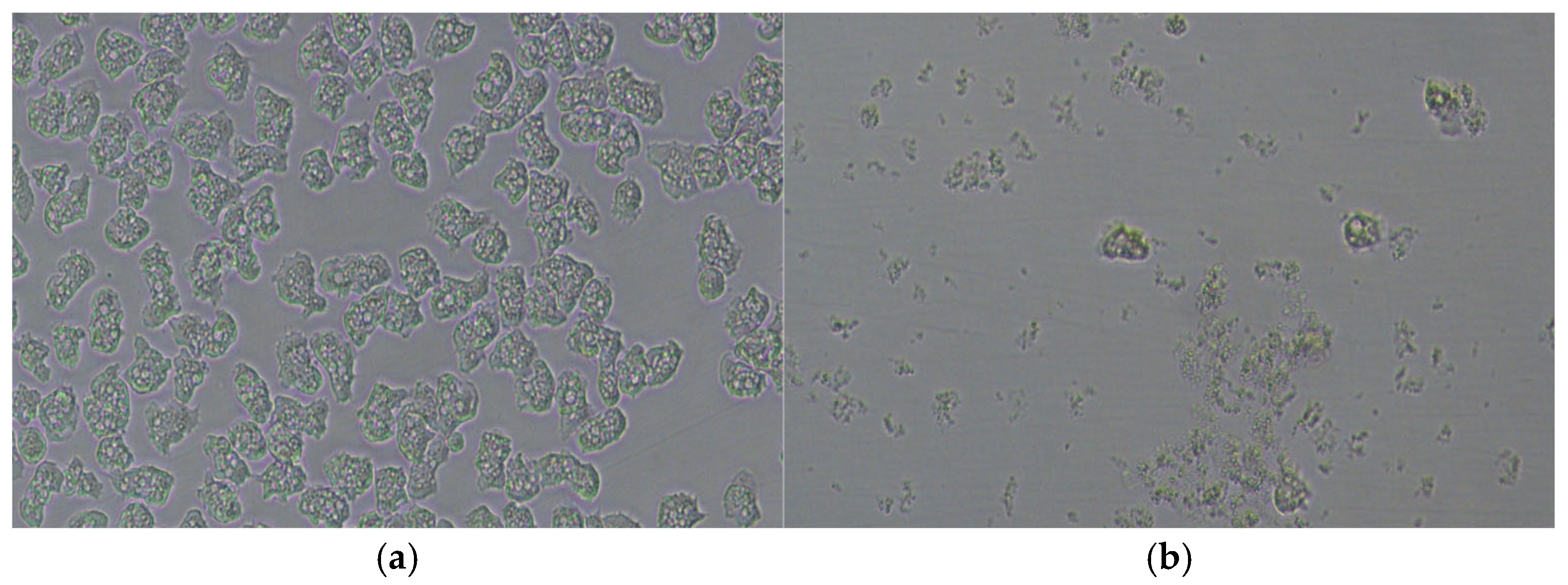 Applsci 15 04198 g004 Applsci 15 04198 g004