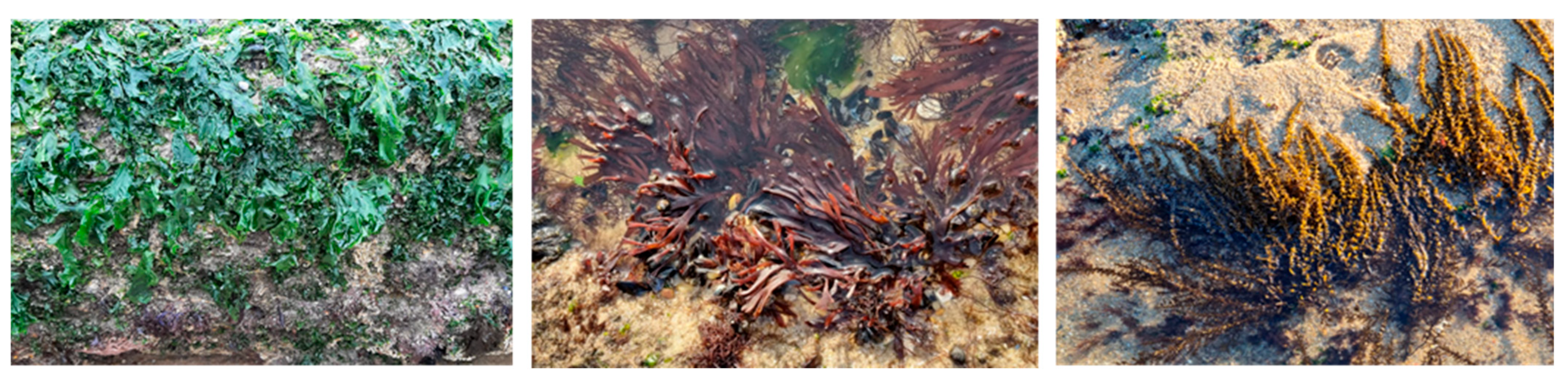 Applsci 15 04212 g001 Applsci 15 04212 g001