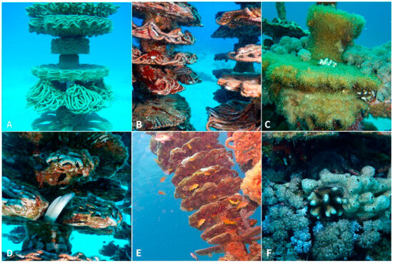 A Review of Additive Manufacturing Techniques in Artificial Reef ...