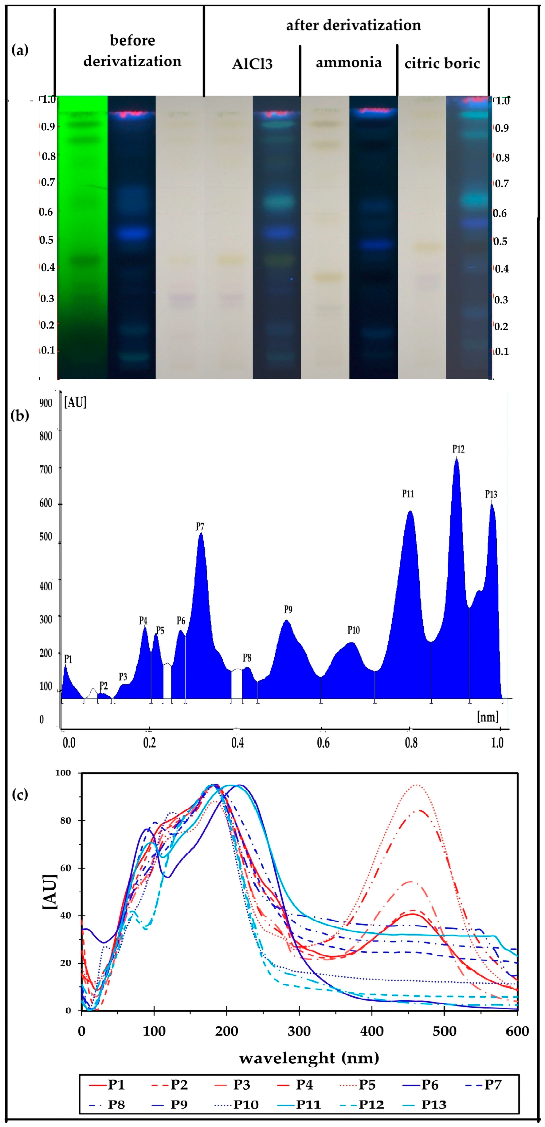 Applsci 15 04299 g002