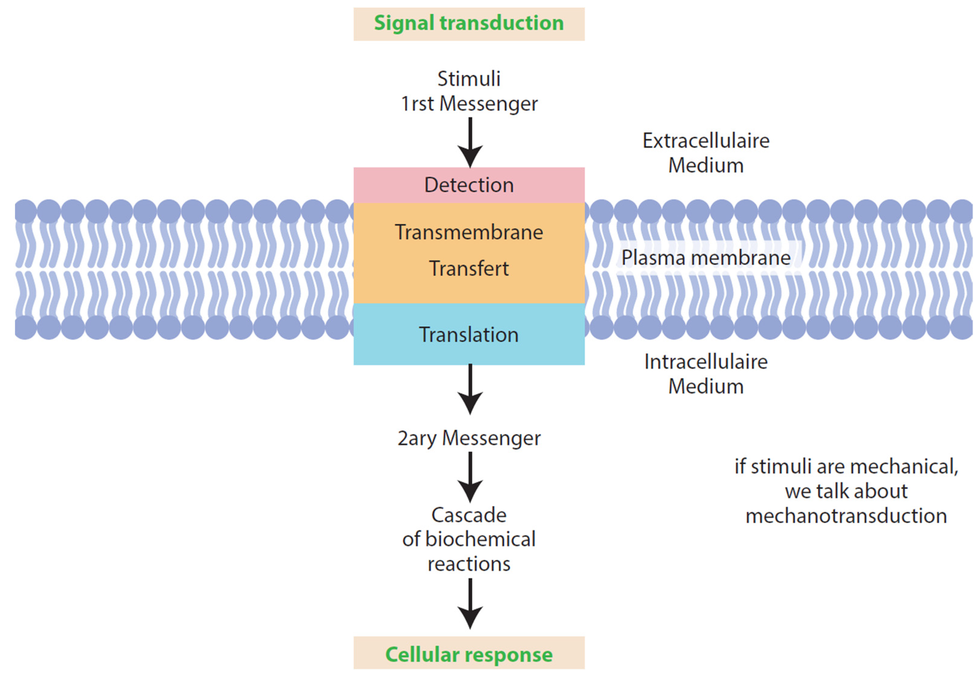 Applsci 15 04313 g002 Applsci 15 04313 g002