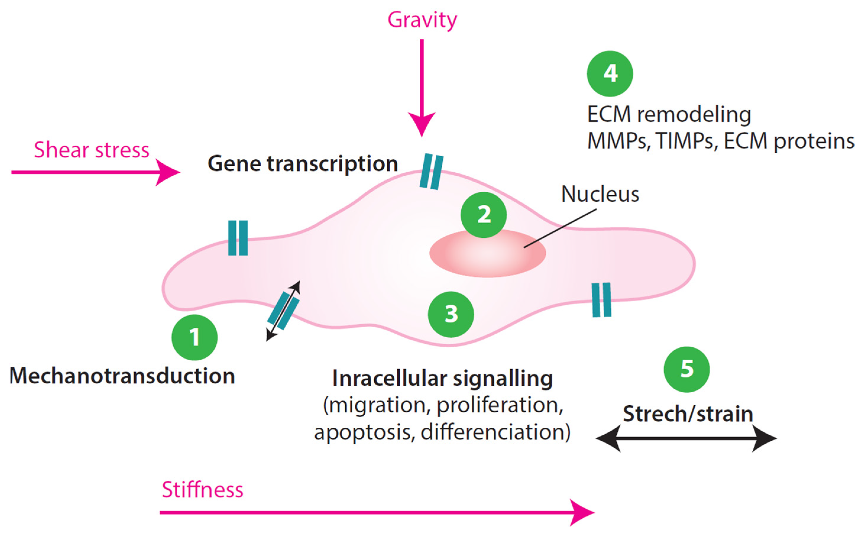 Applsci 15 04313 g003 Applsci 15 04313 g003