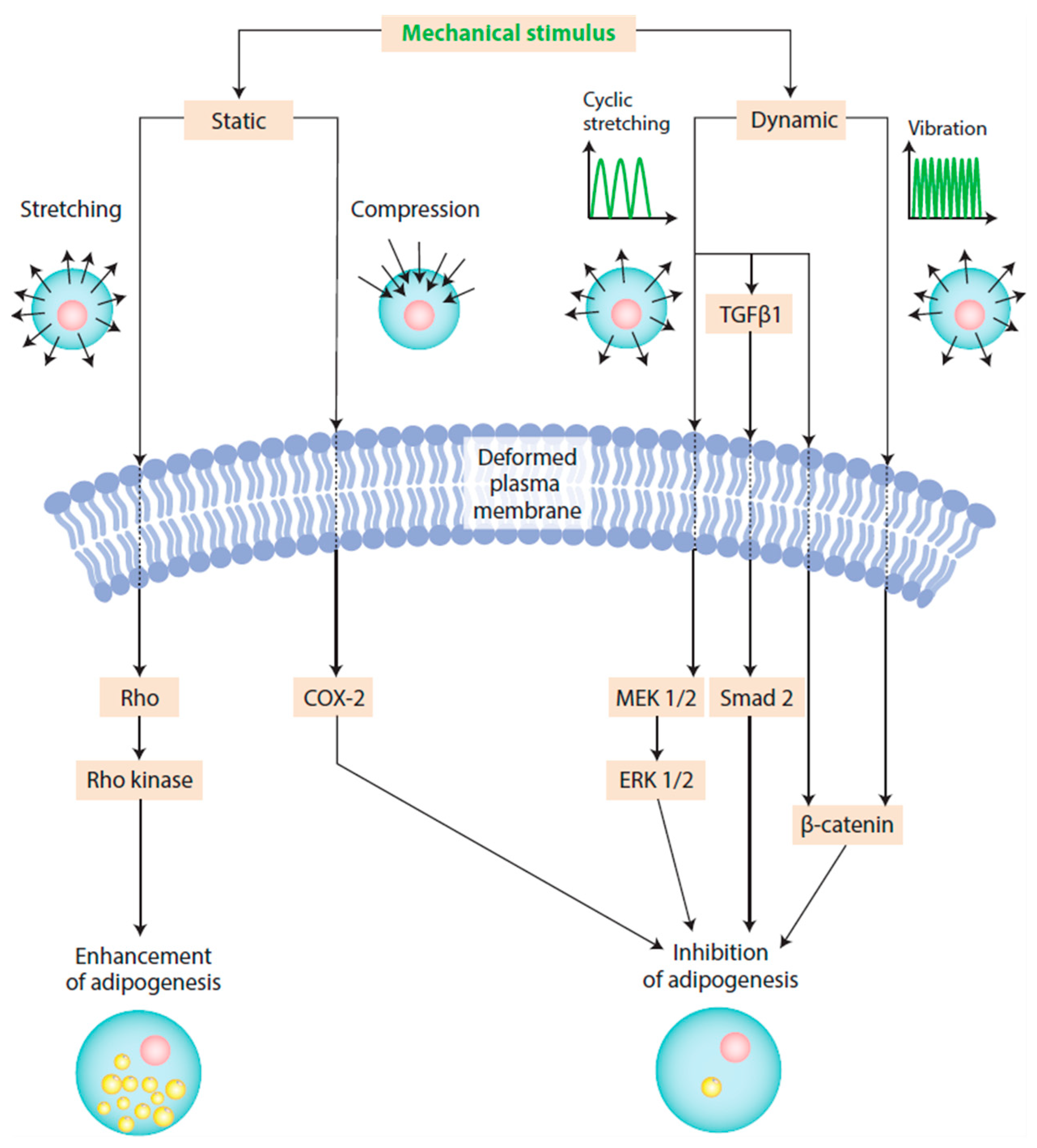 Applsci 15 04313 g005 Applsci 15 04313 g005