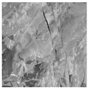 Applsci 15 04314 i001