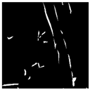 Applsci 15 04314 i002