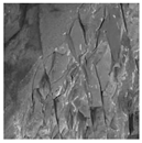 Applsci 15 04314 i004