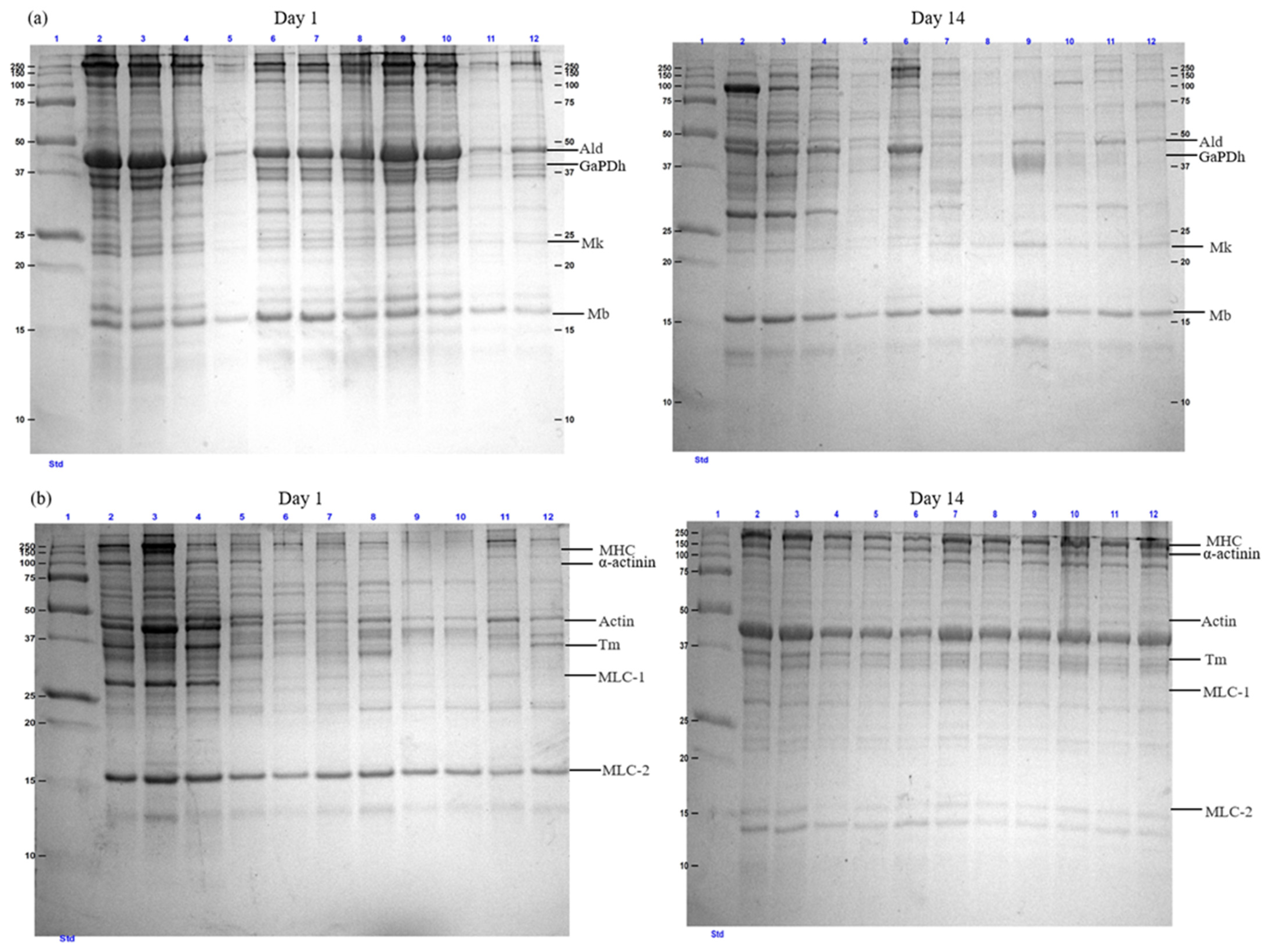 Applsci 15 04336 g003