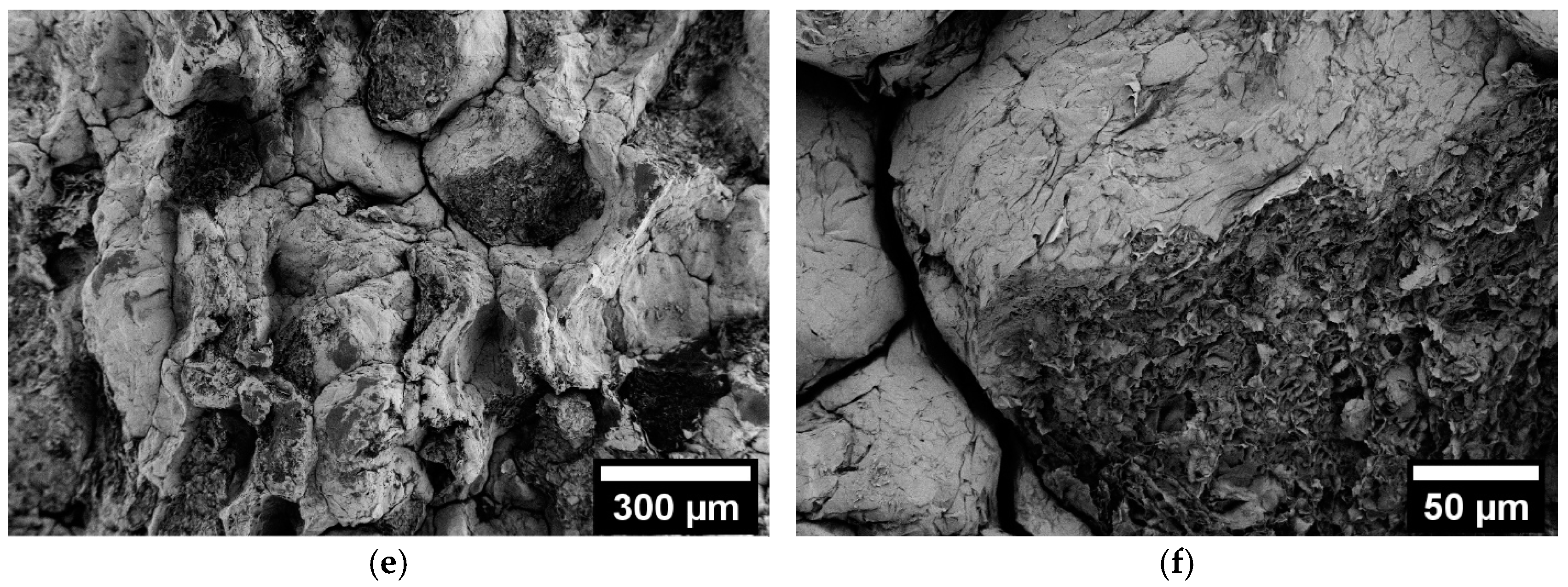 Applsci 15 04352 g005b