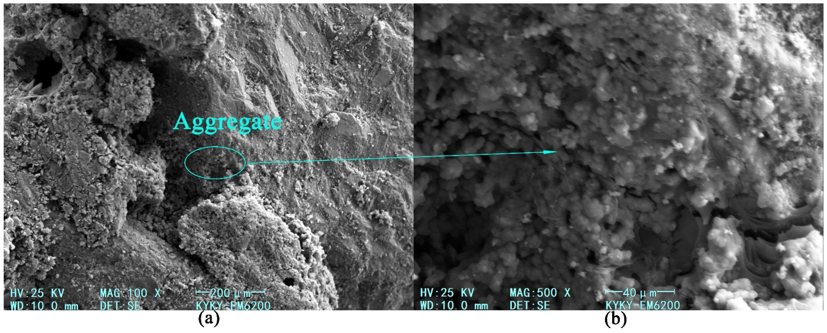 Applsci 15 04373 g019