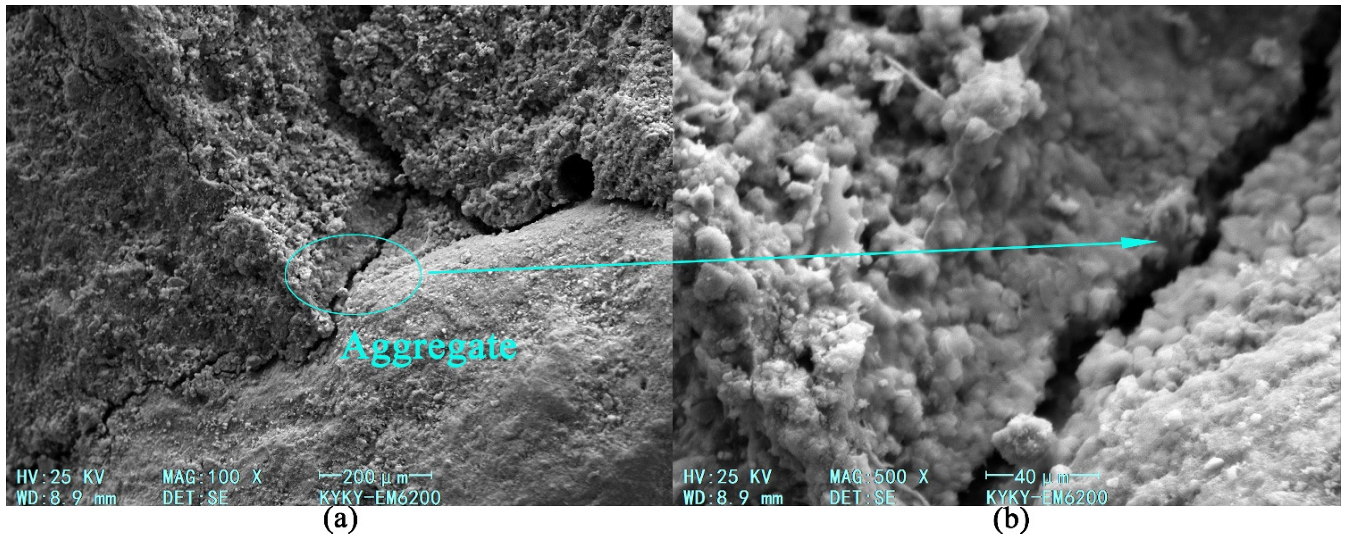 Applsci 15 04373 g020