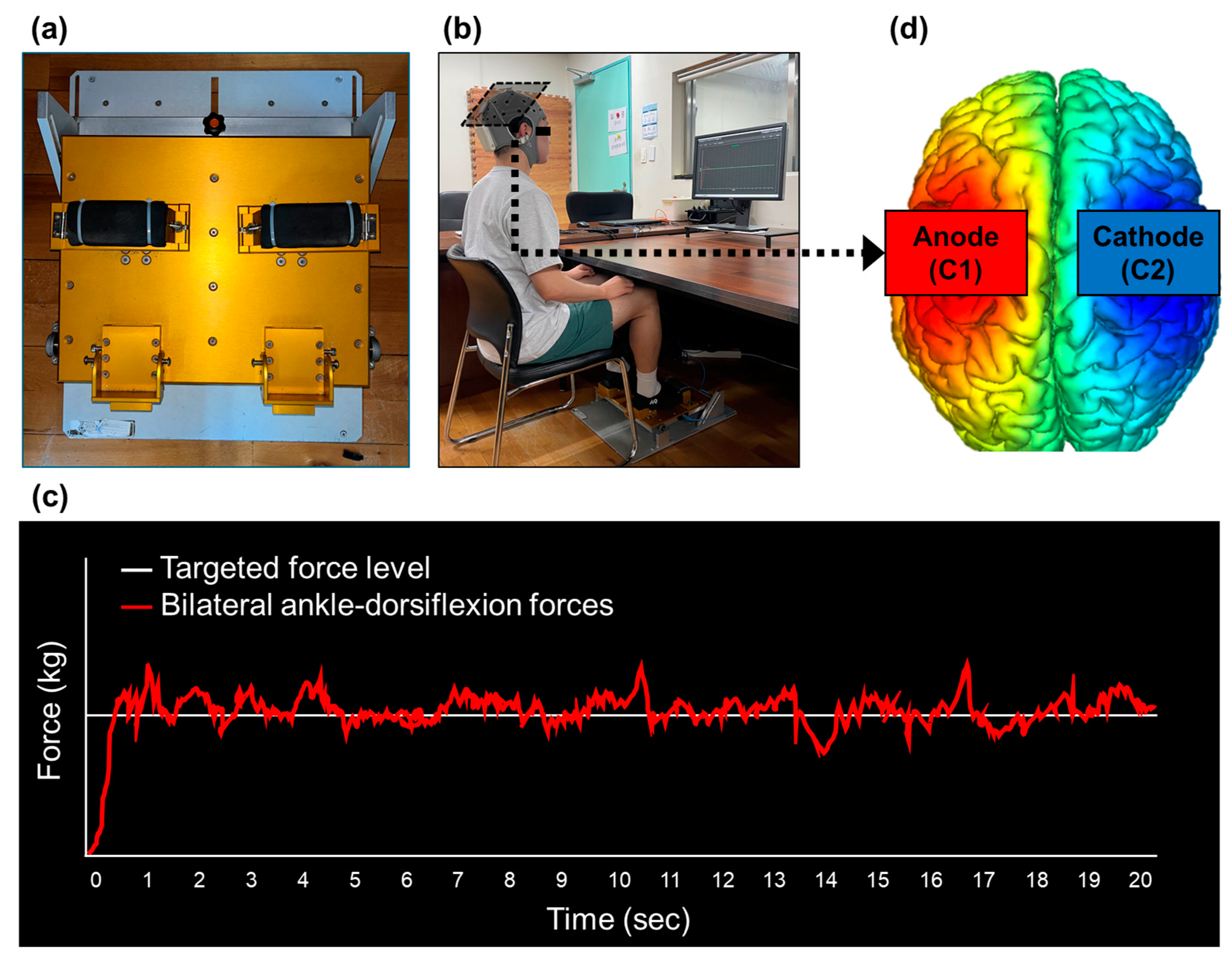 Applsci 15 04391 g002