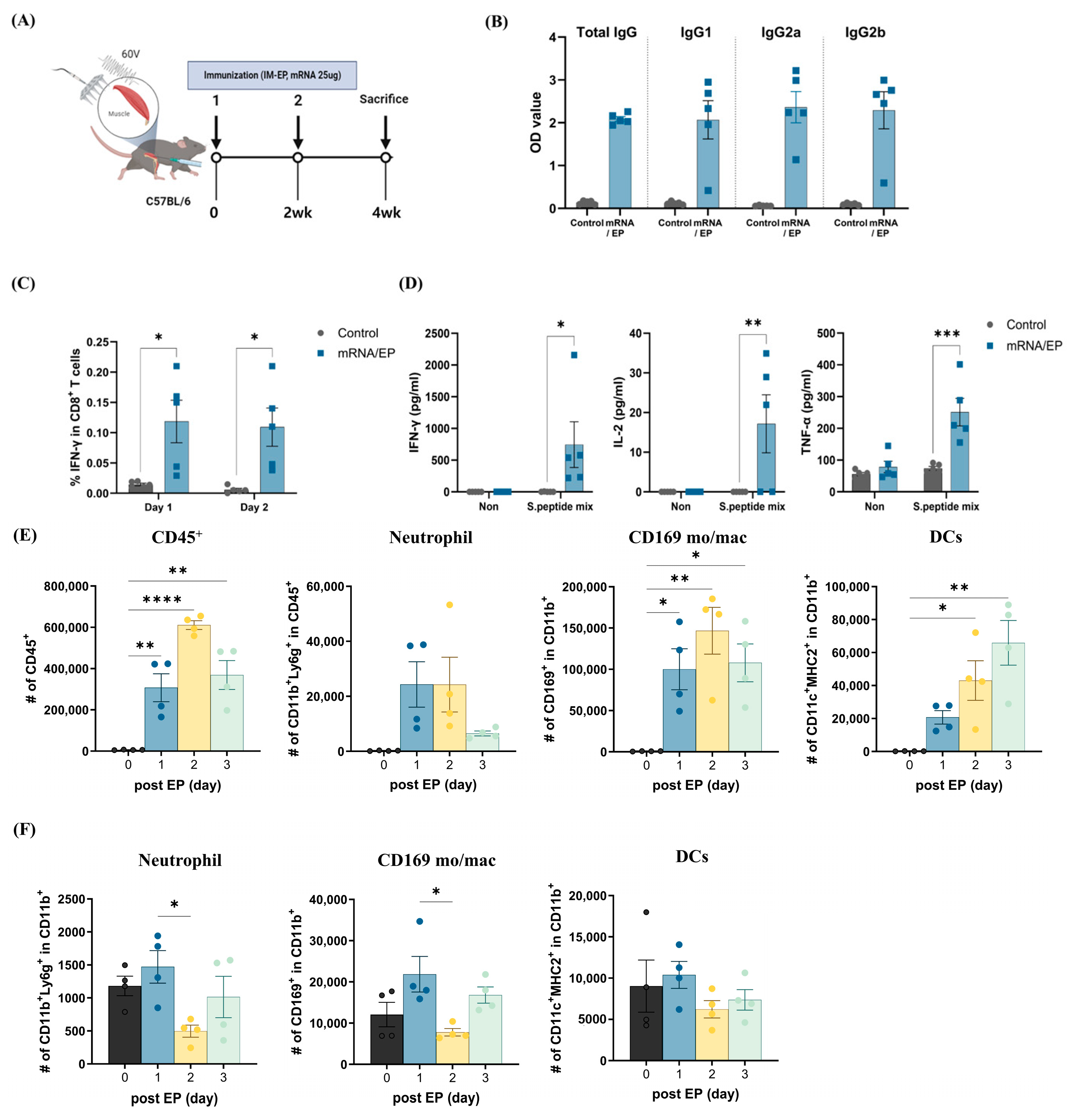 Applsci 15 04428 g003
