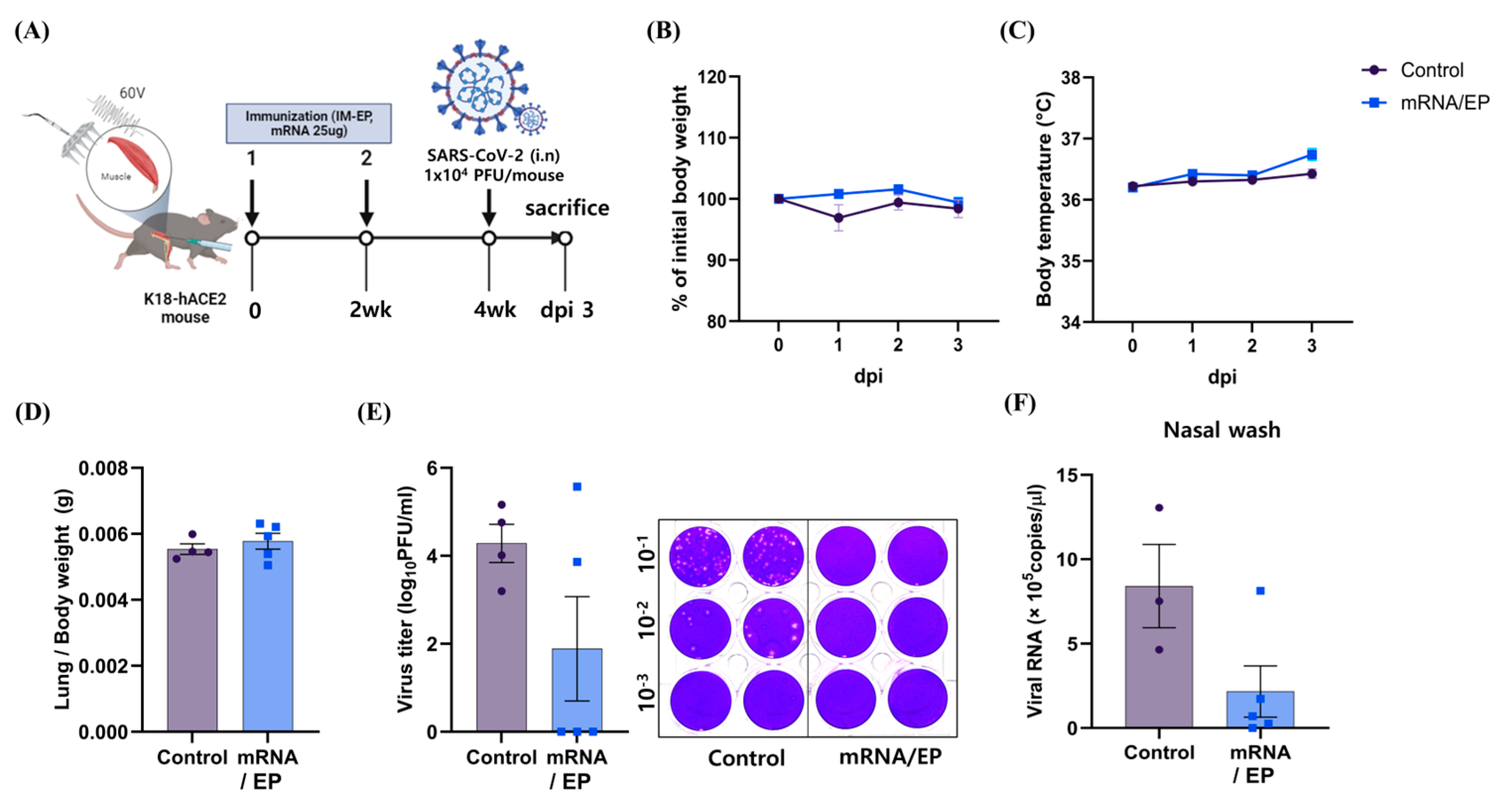 Applsci 15 04428 g004
