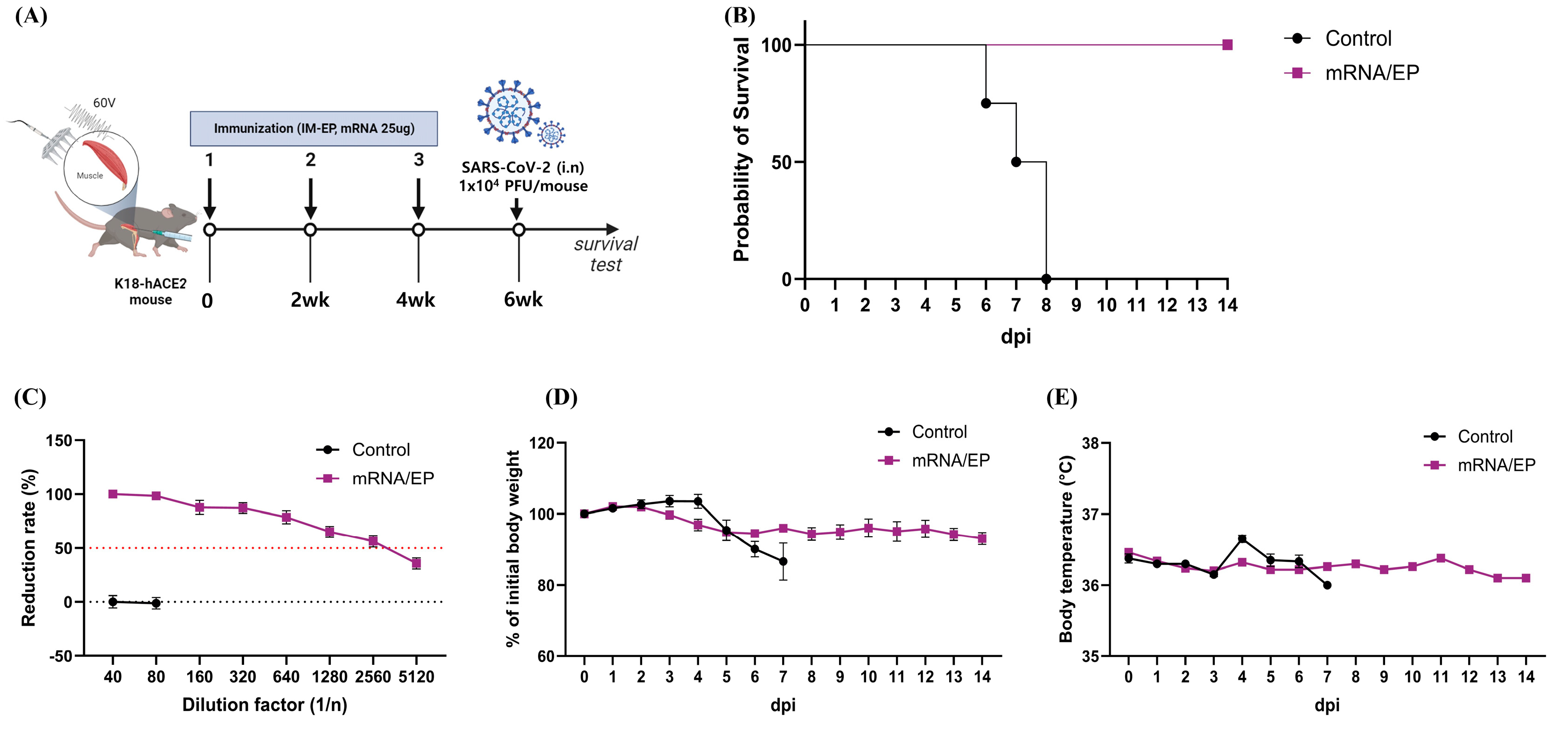 Applsci 15 04428 g005