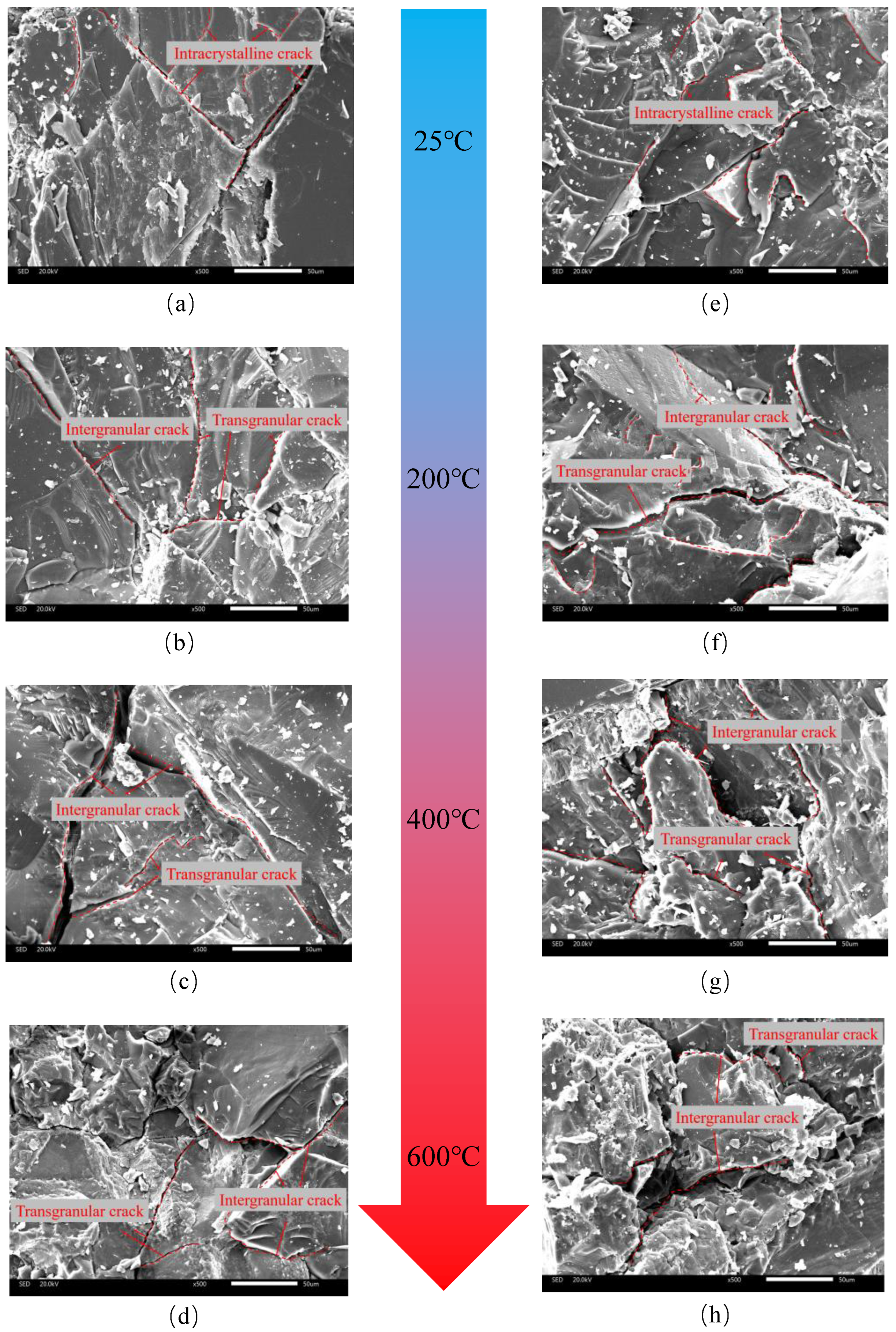 Applsci 15 04448 g012