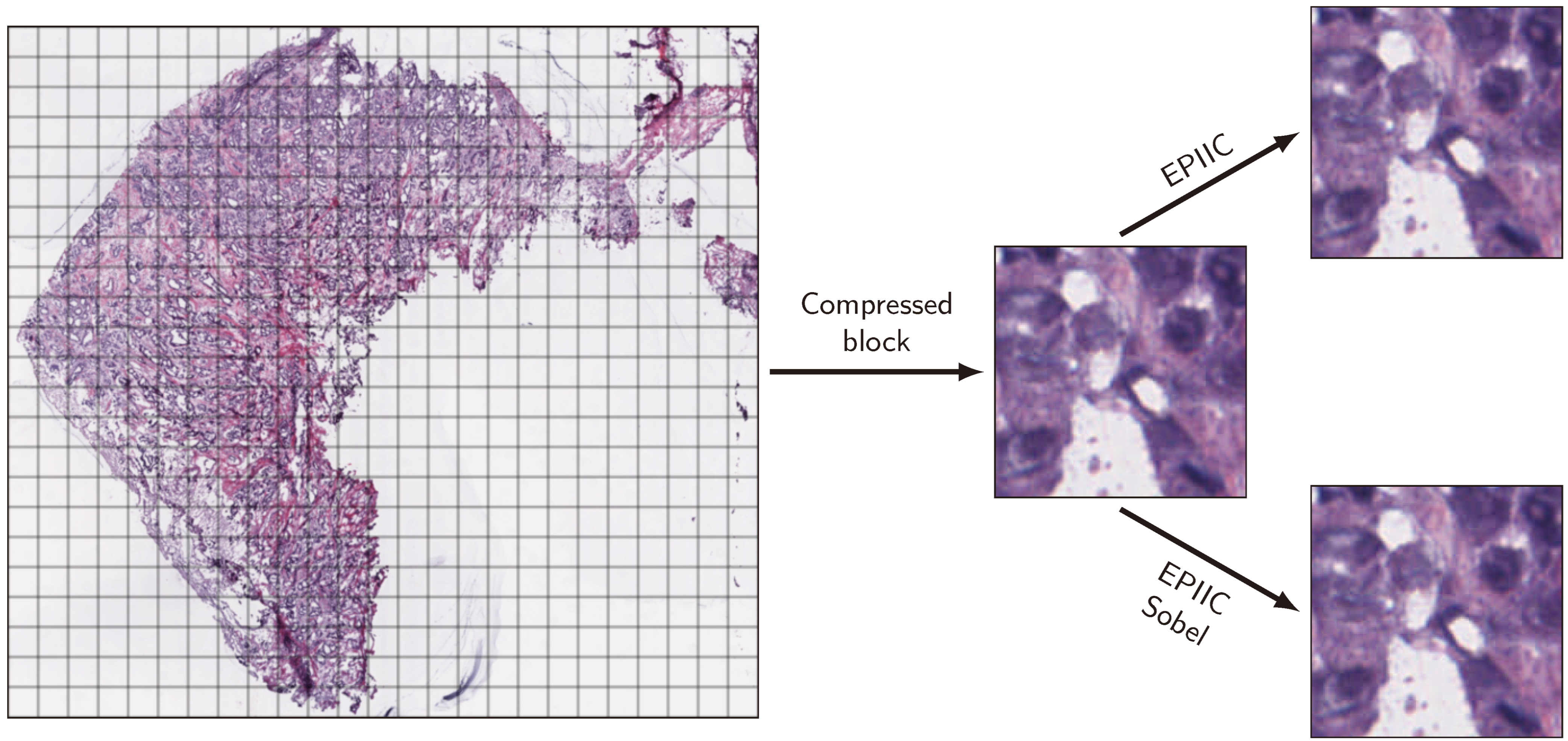 Applsci 15 04450 g002
