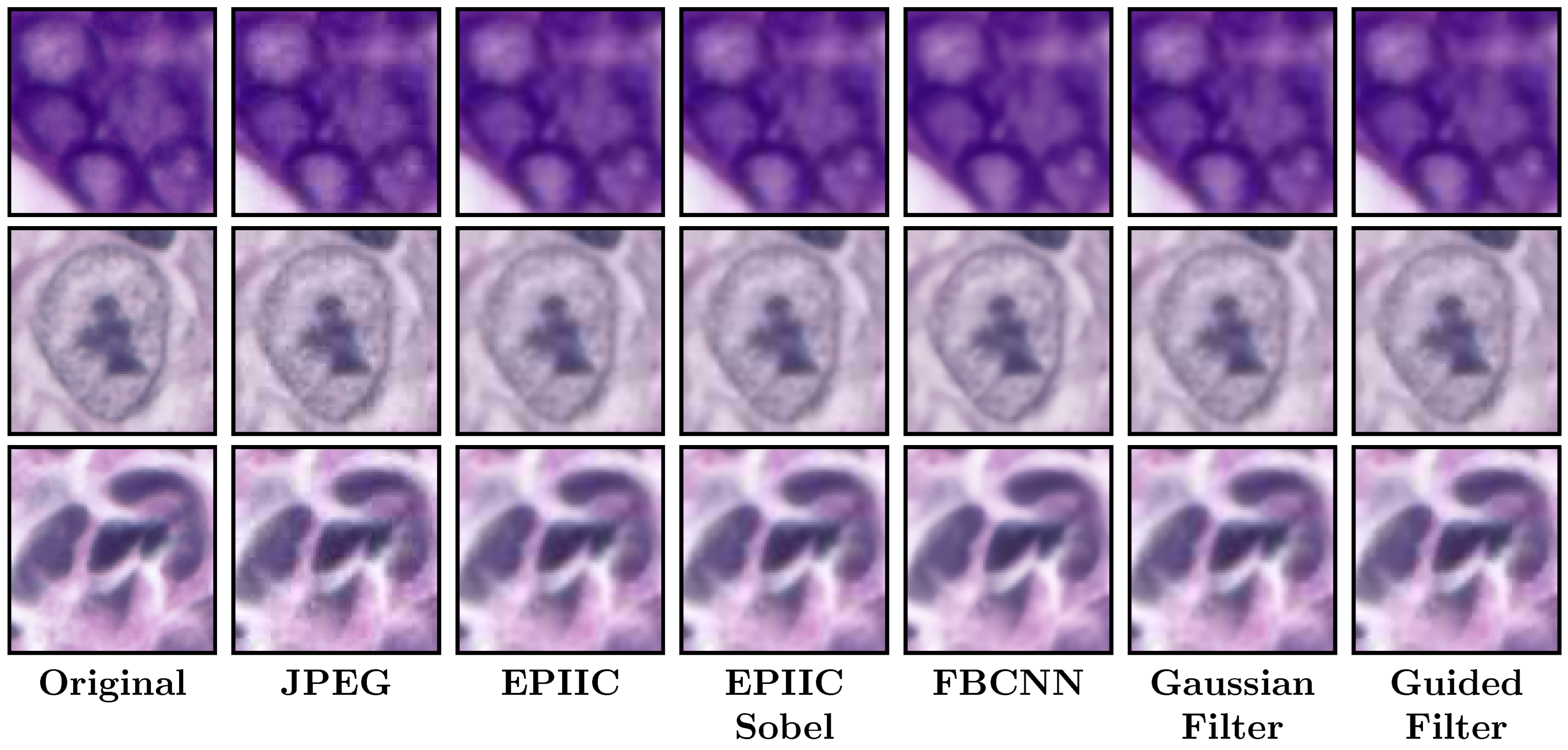 Applsci 15 04450 g003