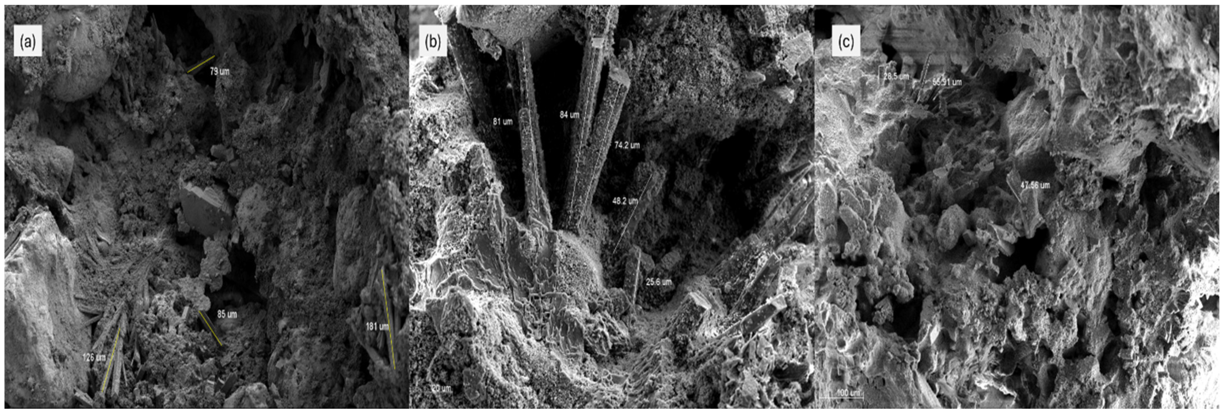 Applsci 15 04453 g008