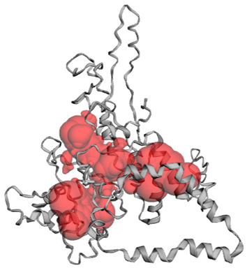 Applsci 15 04463 i001