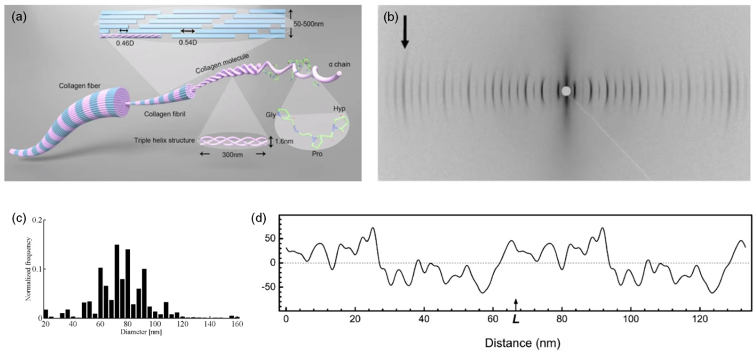 Applsci 15 04472 g002