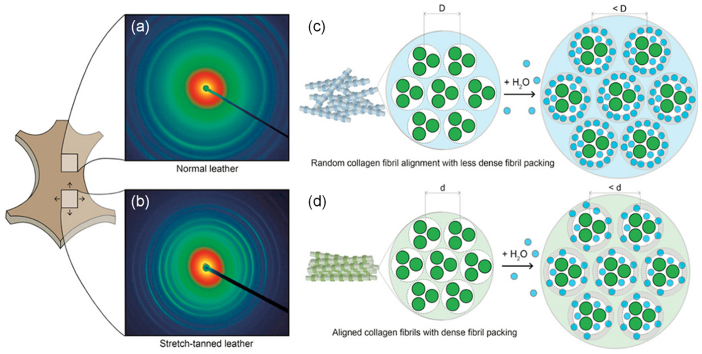 Applsci 15 04472 g003