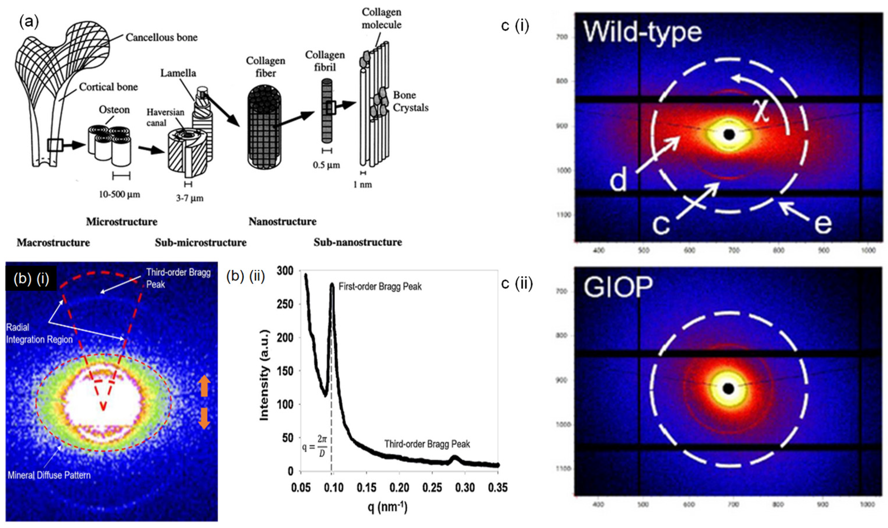 Applsci 15 04472 g004