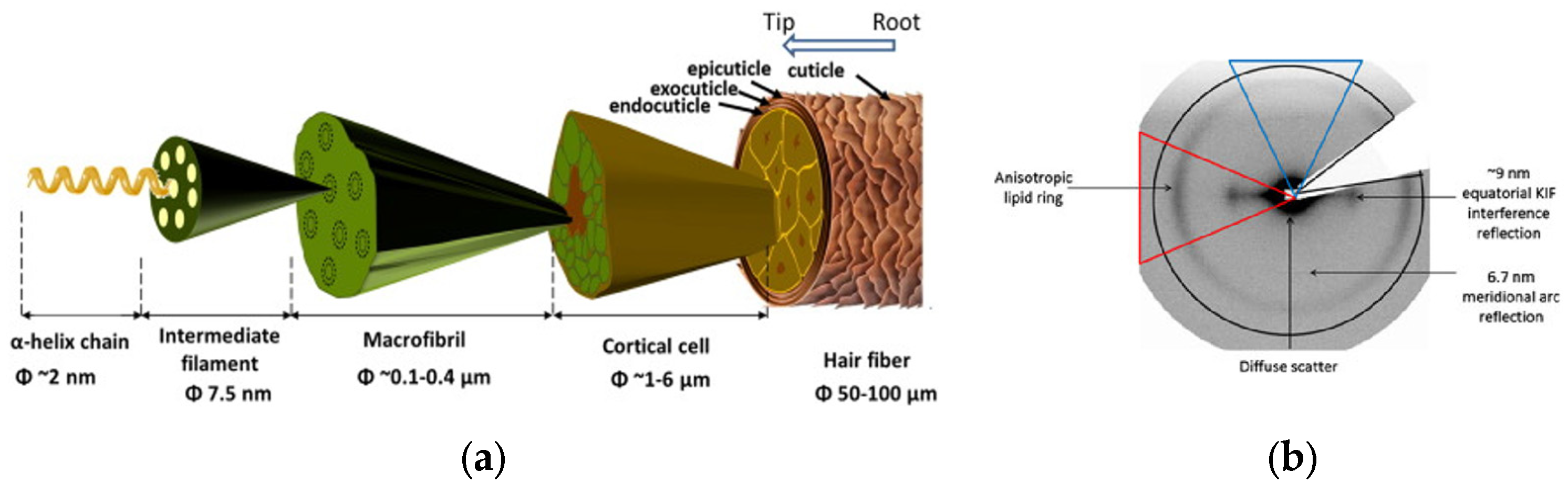 Applsci 15 04472 g005