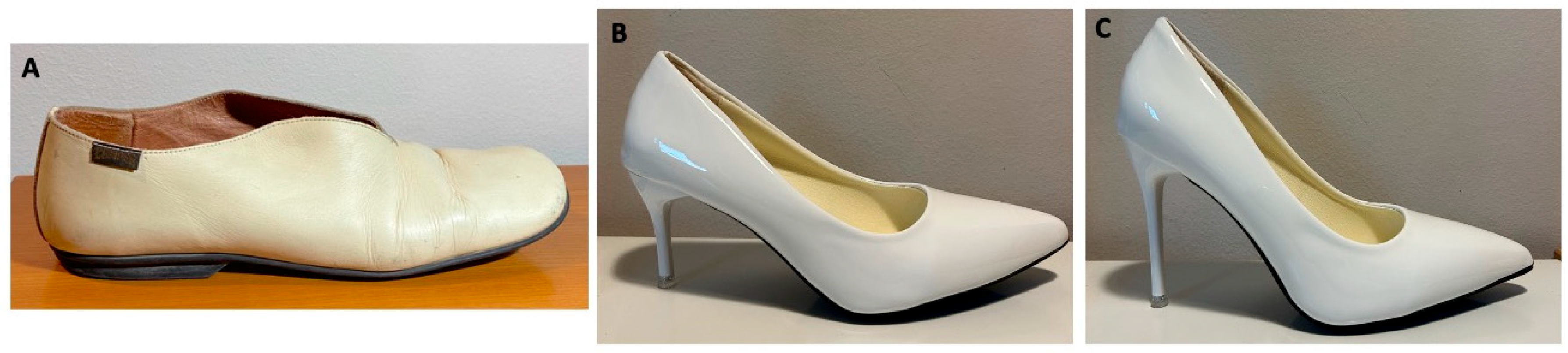 Applsci 15 04485 g002