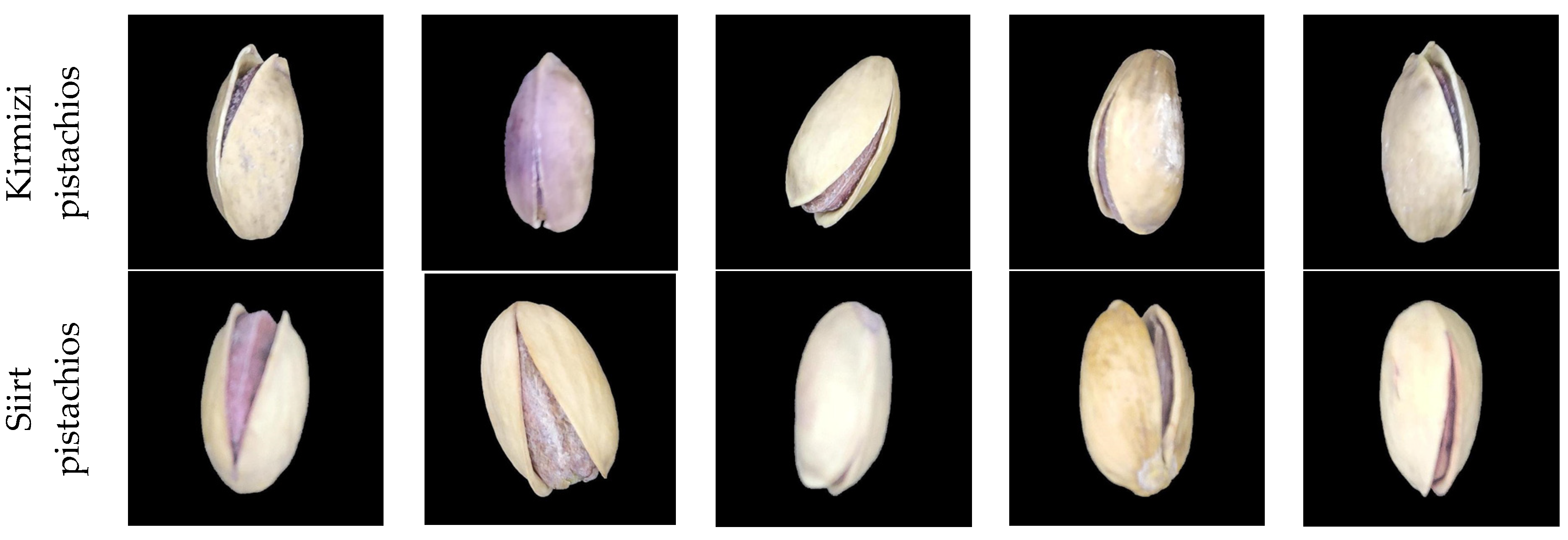 Applsci 15 04516 g001