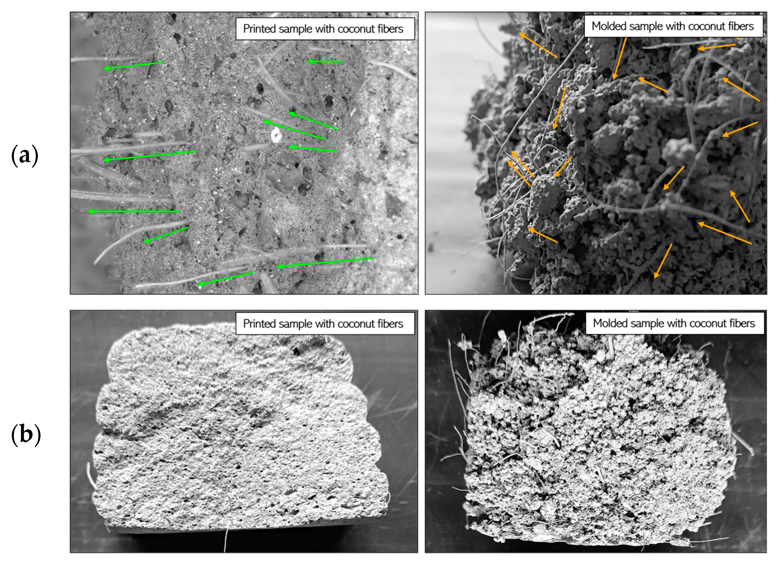 Applsci 15 04527 g011
