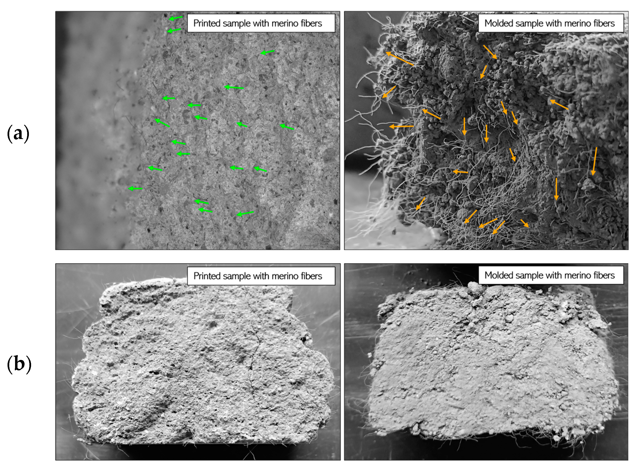 Applsci 15 04527 g012
