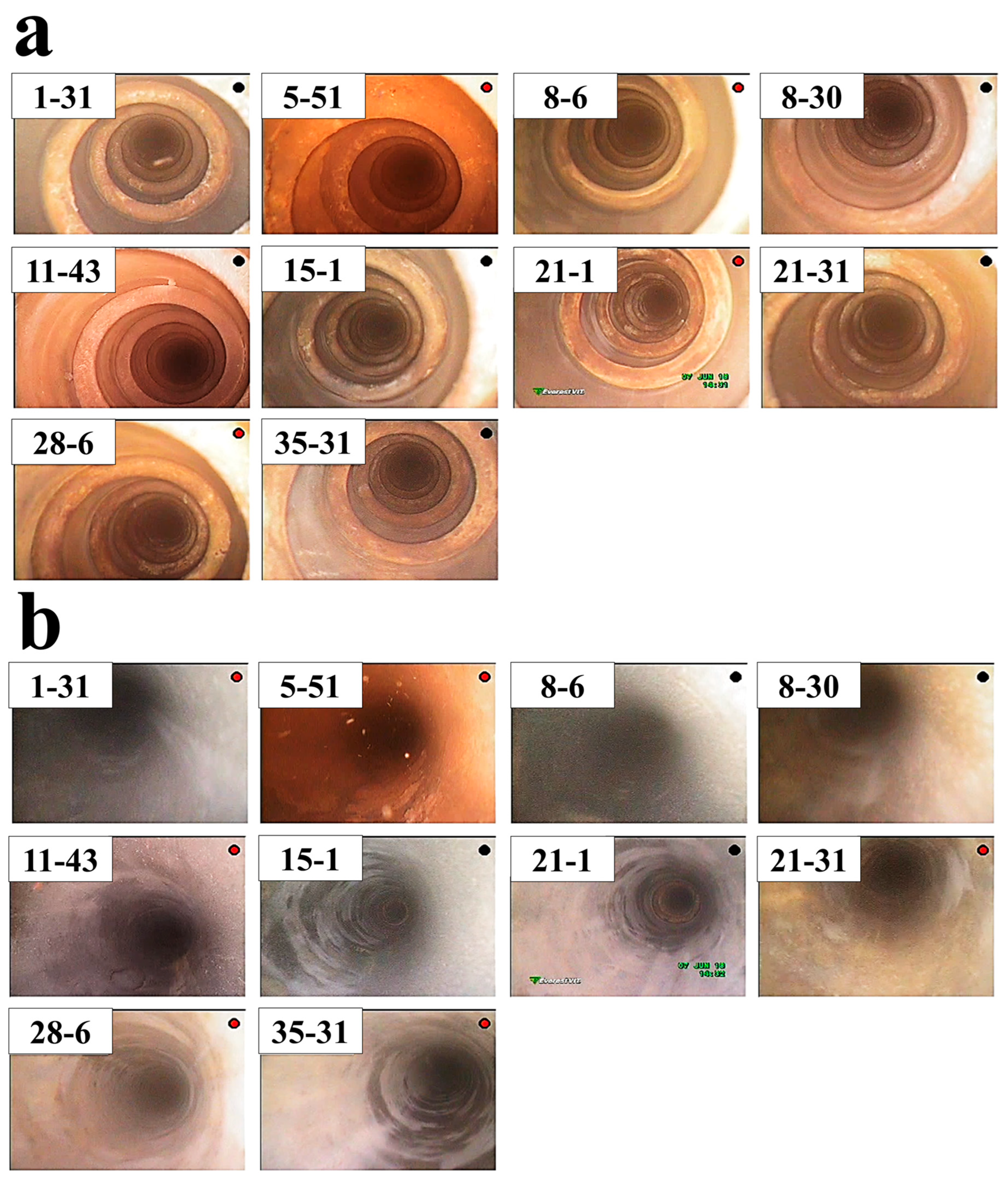 Applsci 15 04528 g003