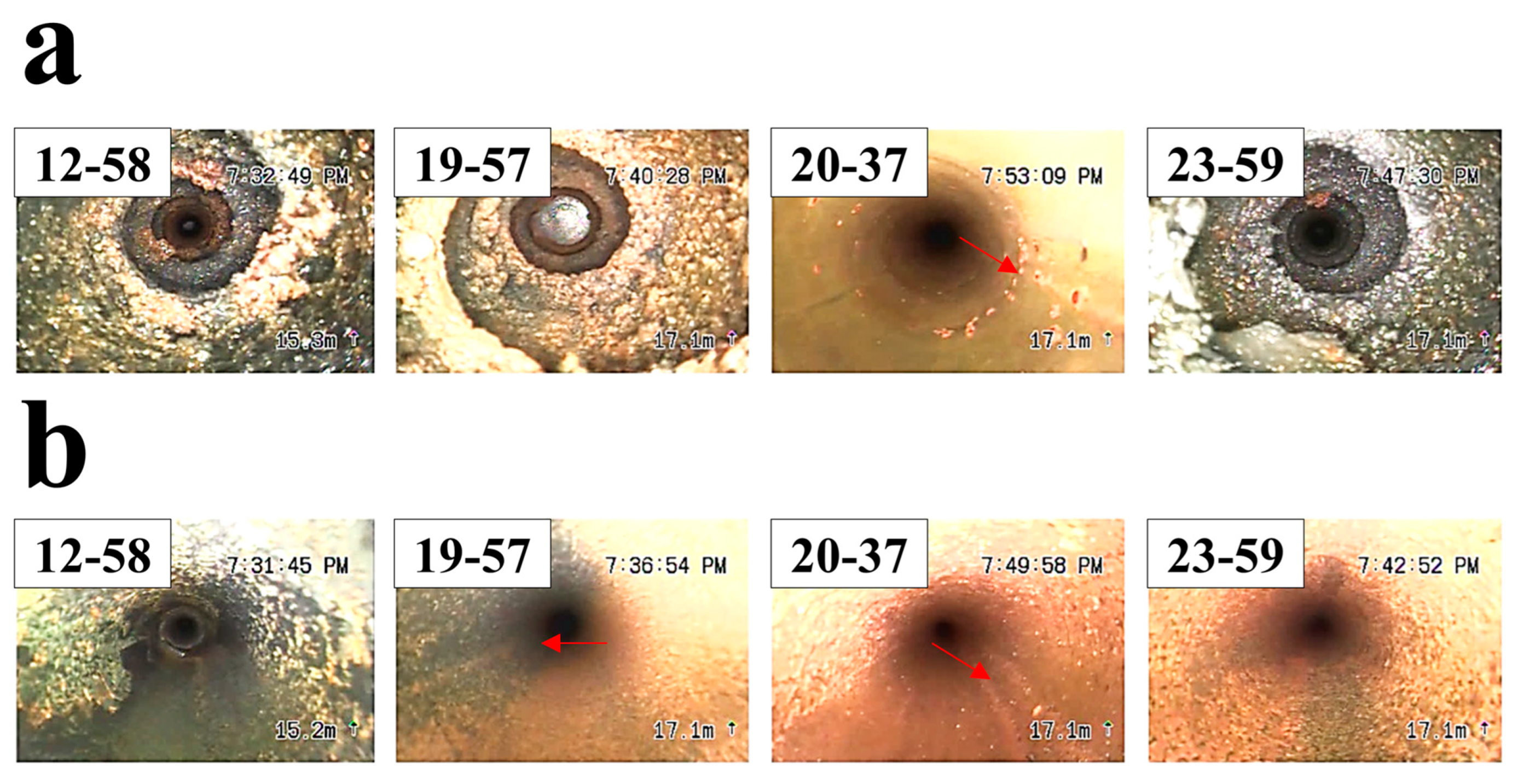 Applsci 15 04528 g004