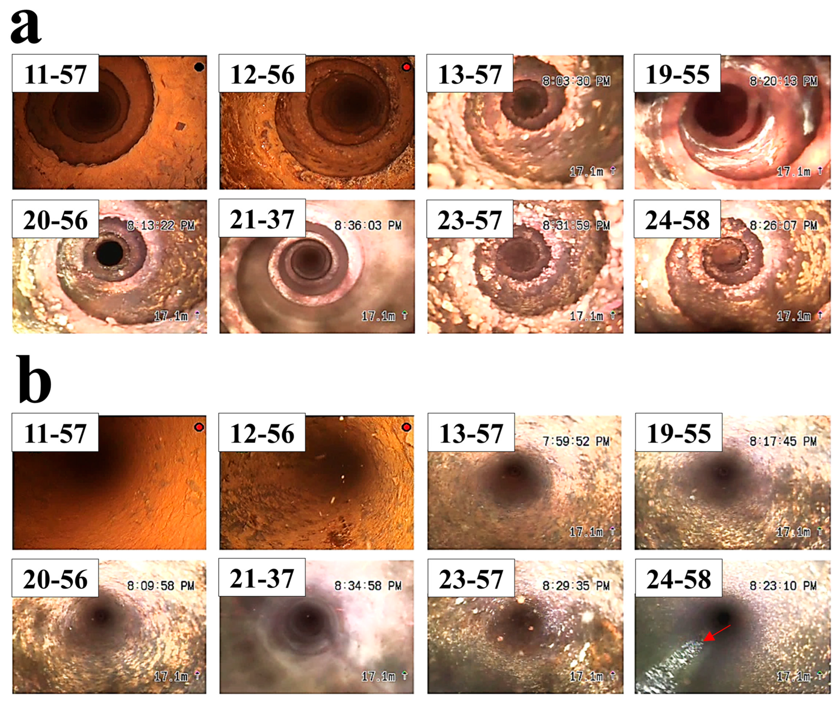 Applsci 15 04528 g005